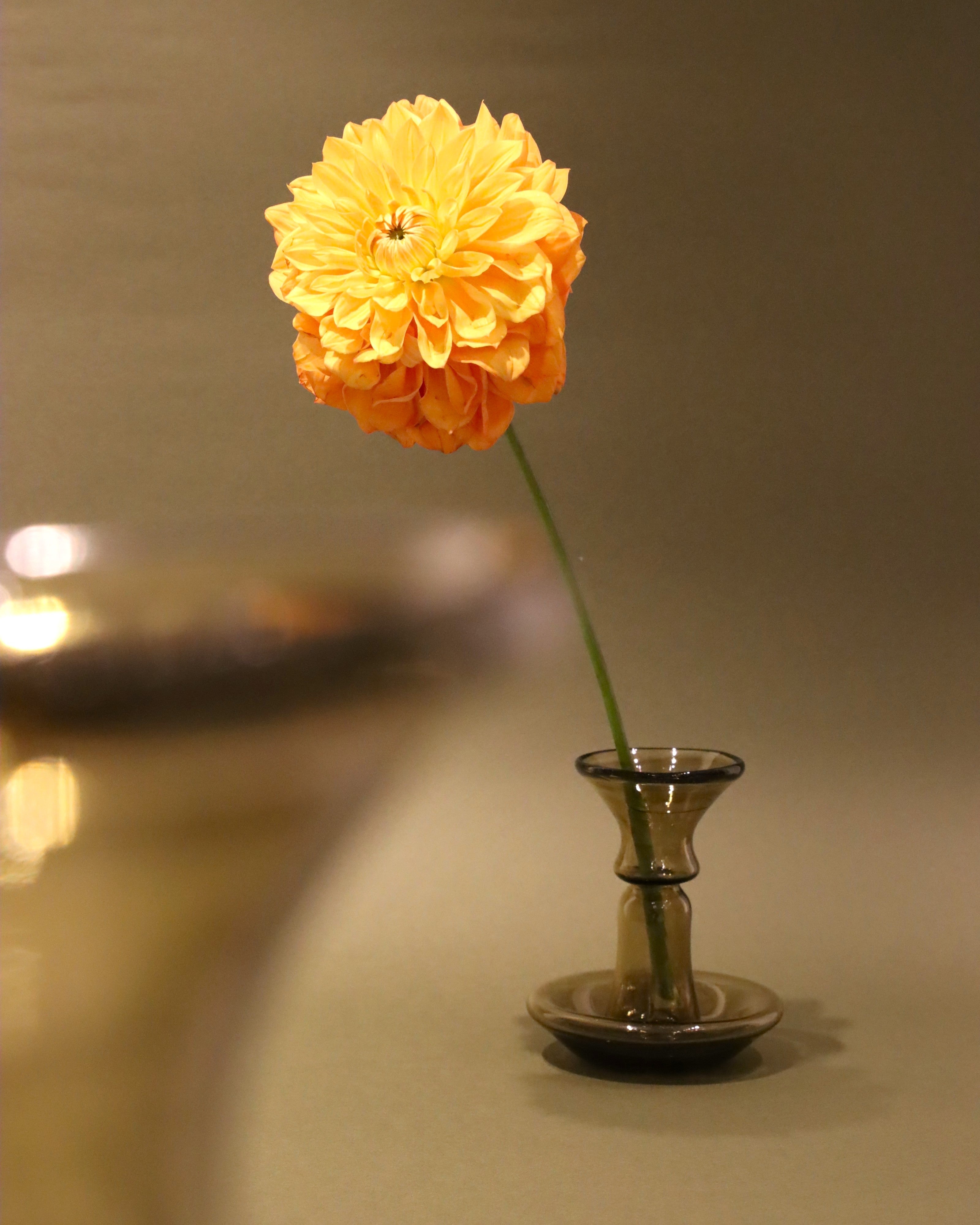 澄んだ空気の中、やわらかな光を受けて。