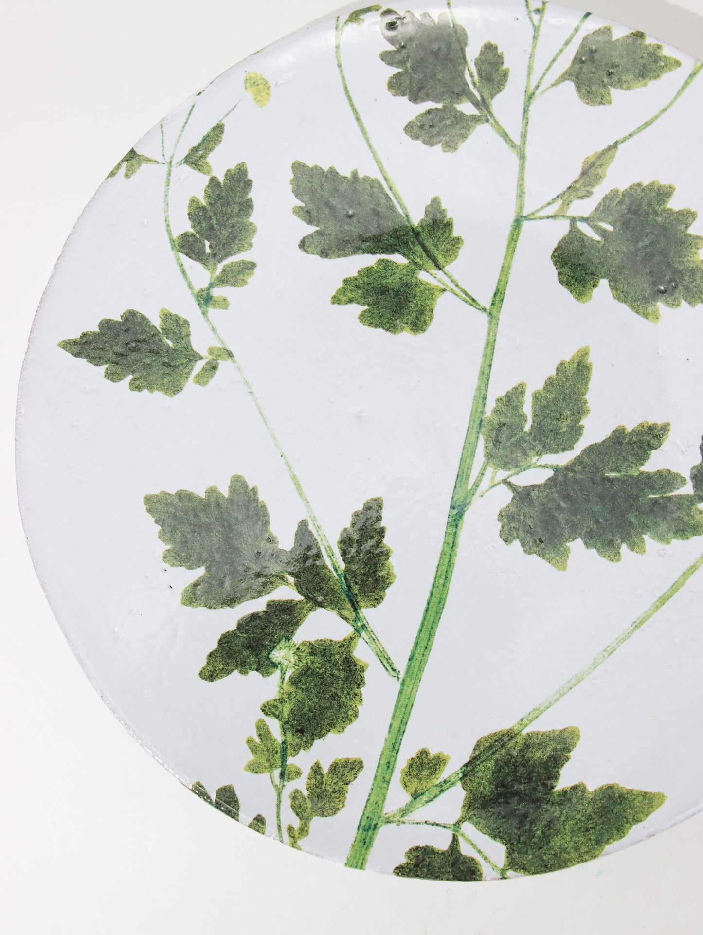 John Derian Matricaria プレート 24cm