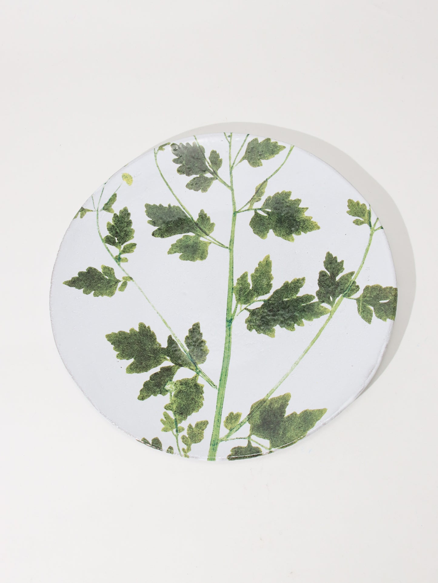 John Derian Matricaria プレート 24cm