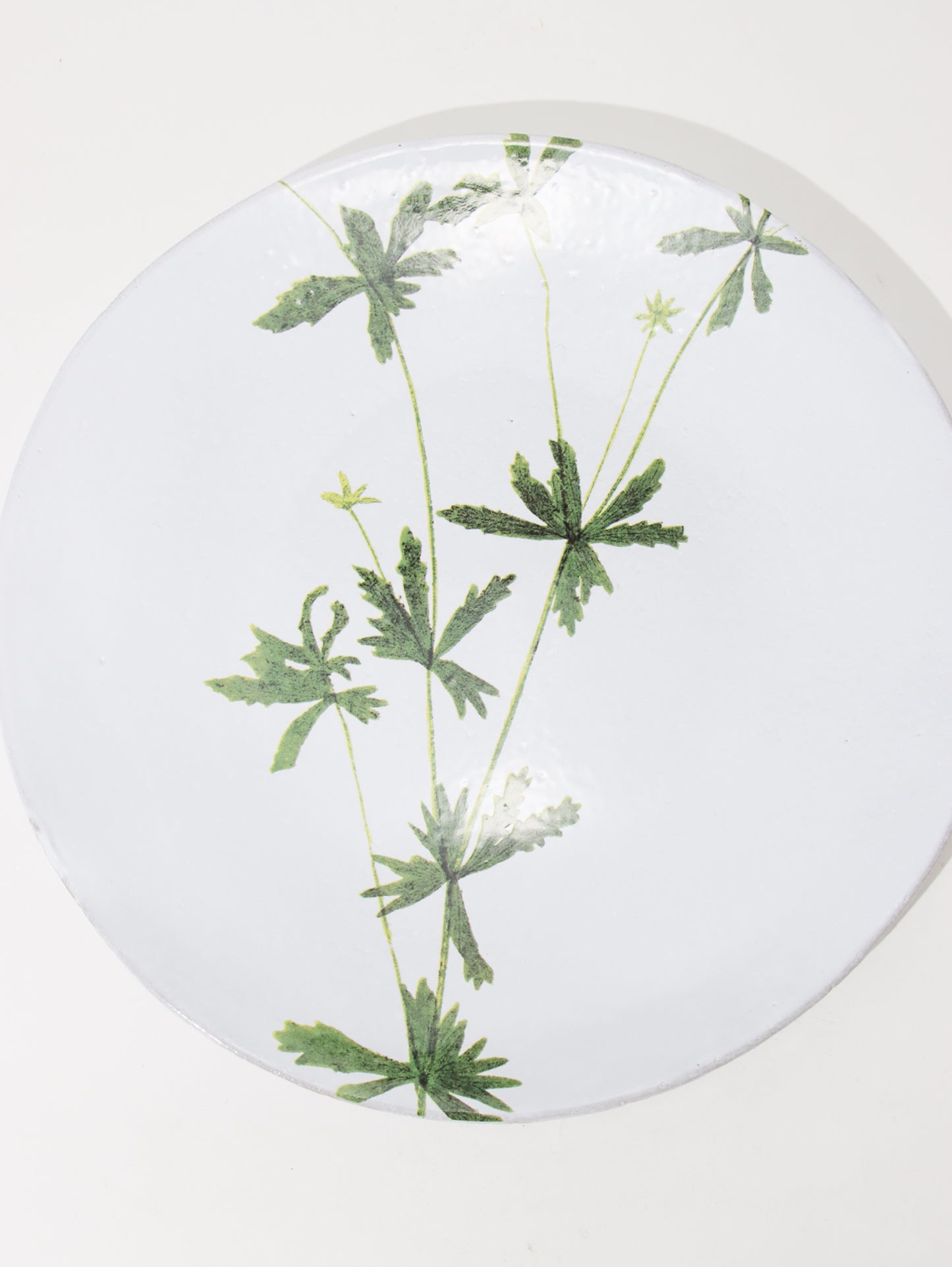 John Derian Tormentilla プレート 24cm