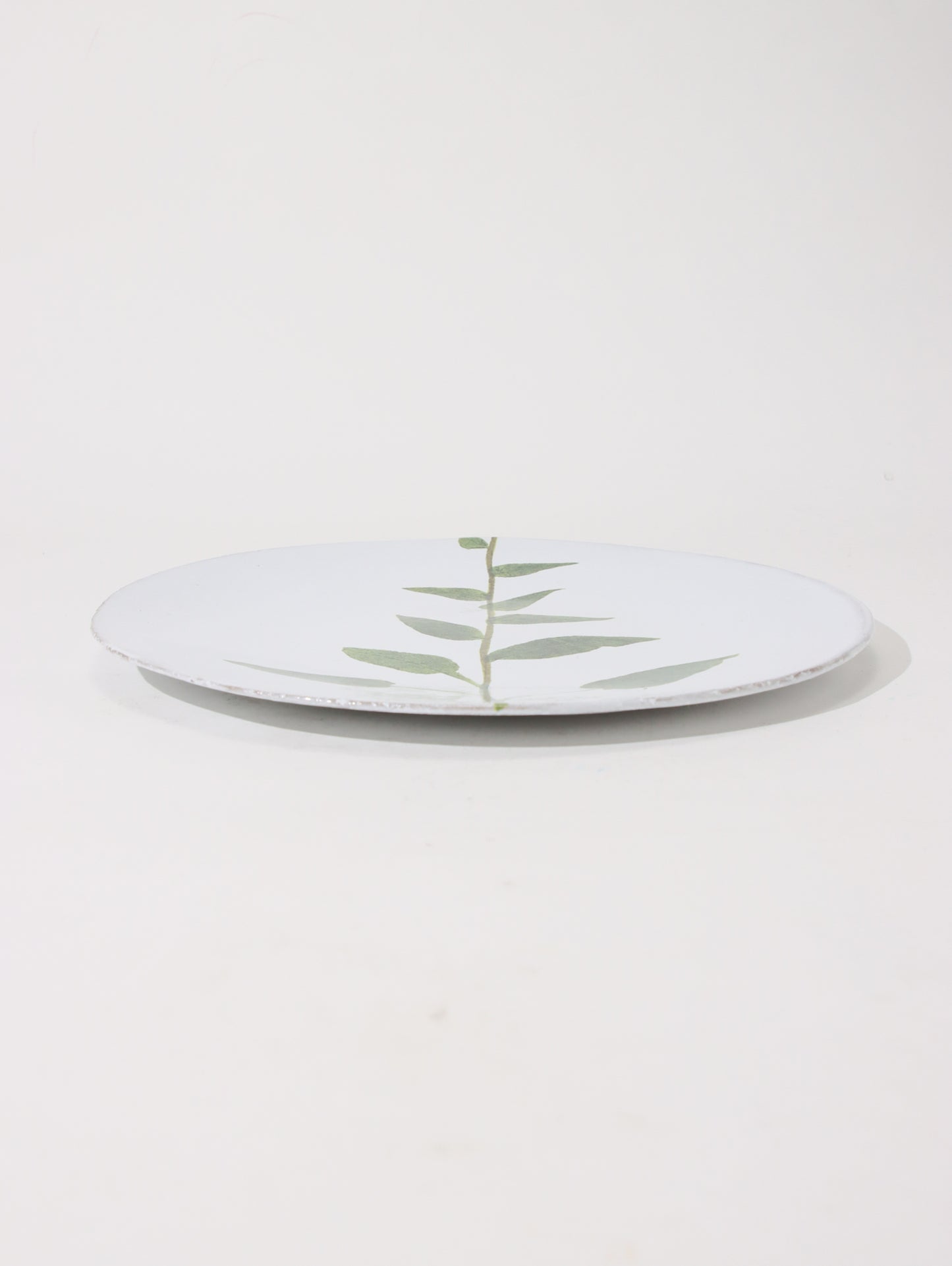 John Derian Campanula プレート 24cm