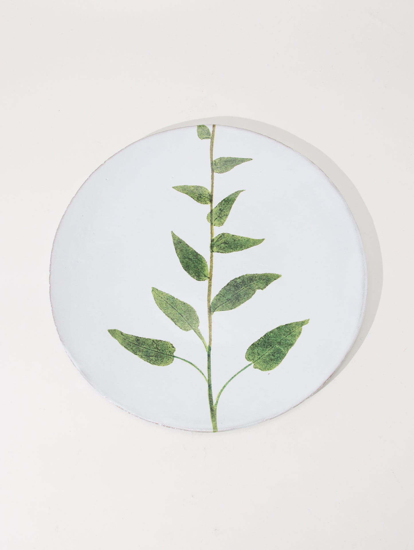 John Derian Campanula プレート 24cm