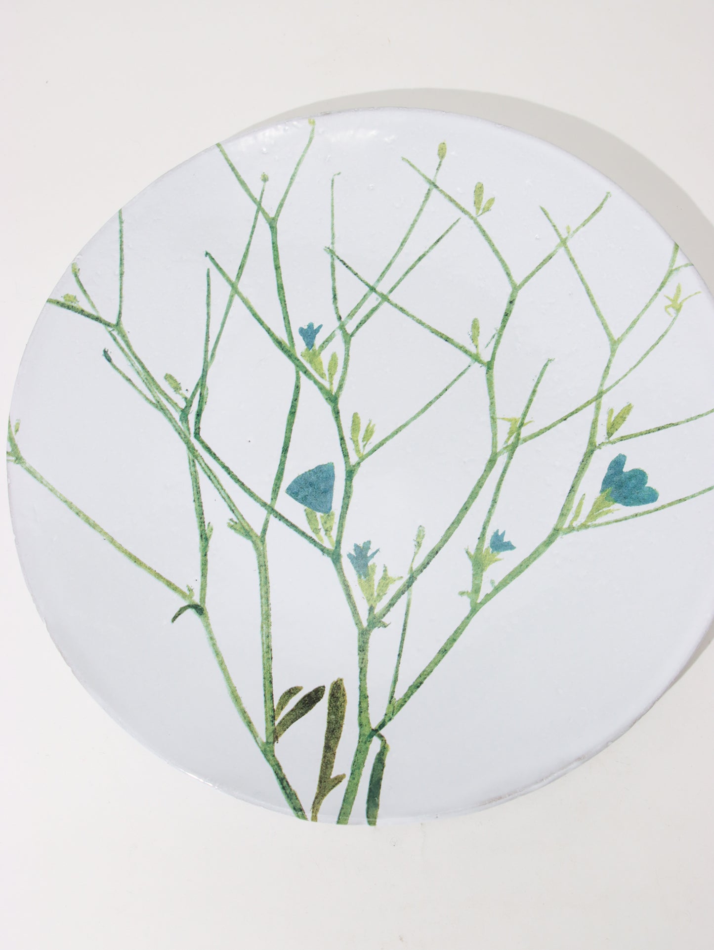 John Derian Cichorium プレート 24cm