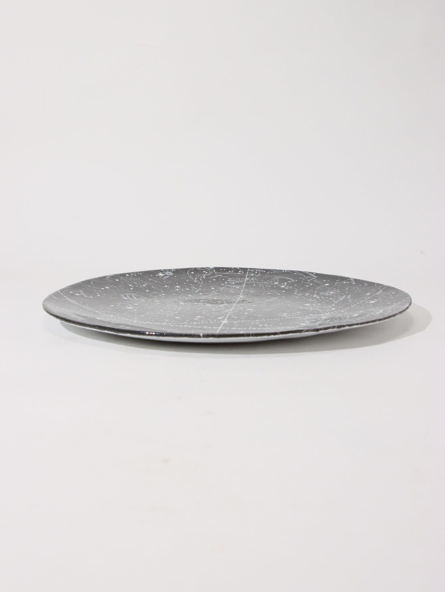 John Derian Visible Heavens 1 January to April ディナープレート 26cm
