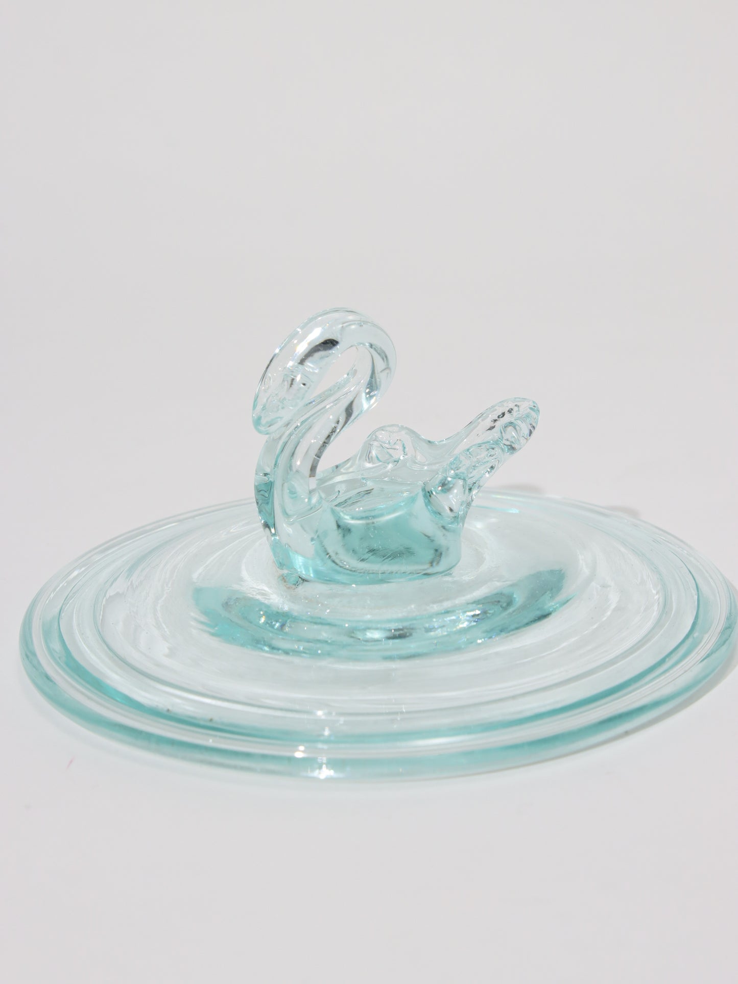 リッド Swan Transparent