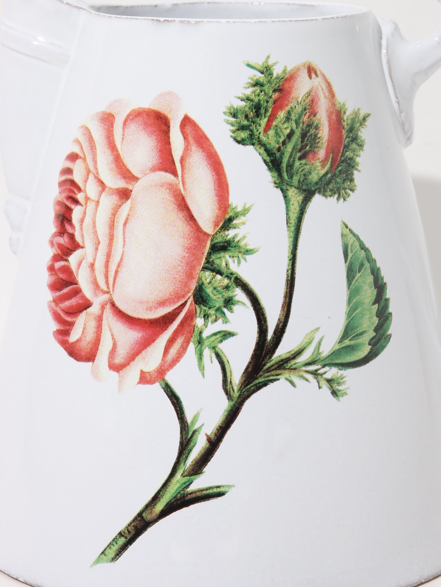 John Derian Moss rose ピッチャー