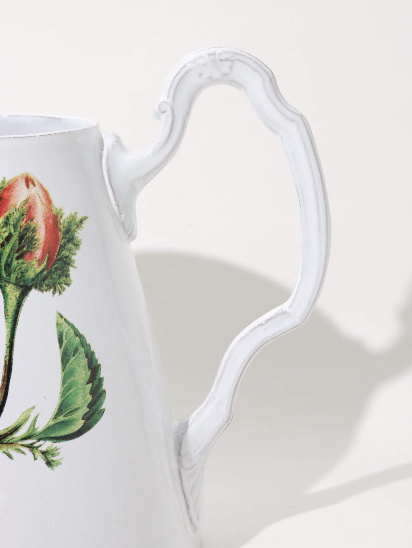 John Derian Moss rose ピッチャー