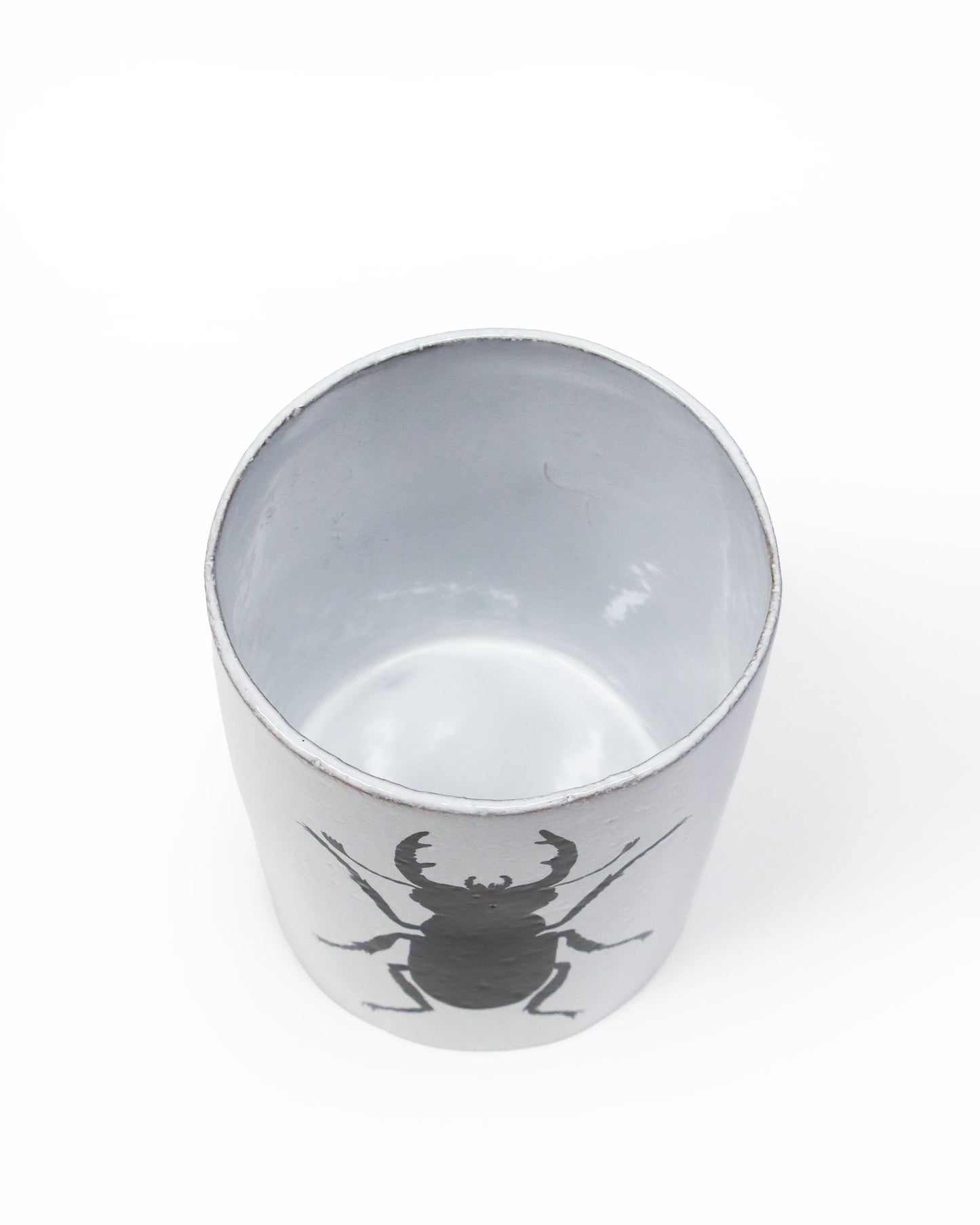 John Derian Beetle ベース