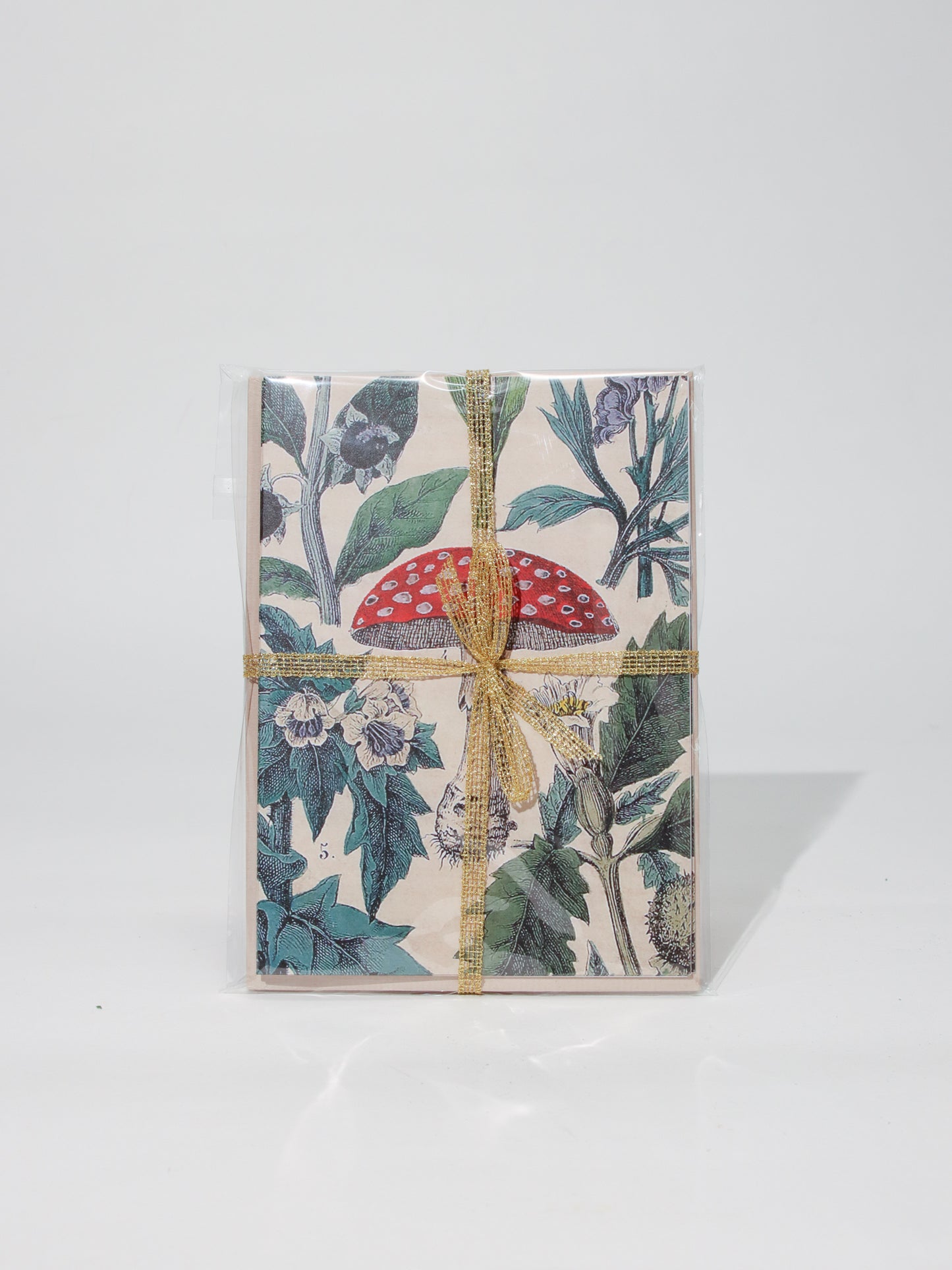 ノートカードセット MUSHROOM