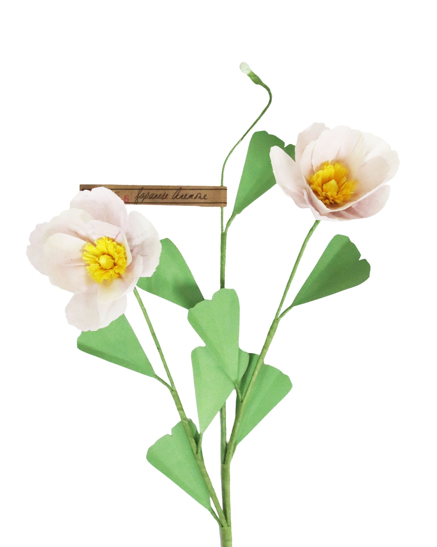 ペーパーフラワー Japanese Anemone double