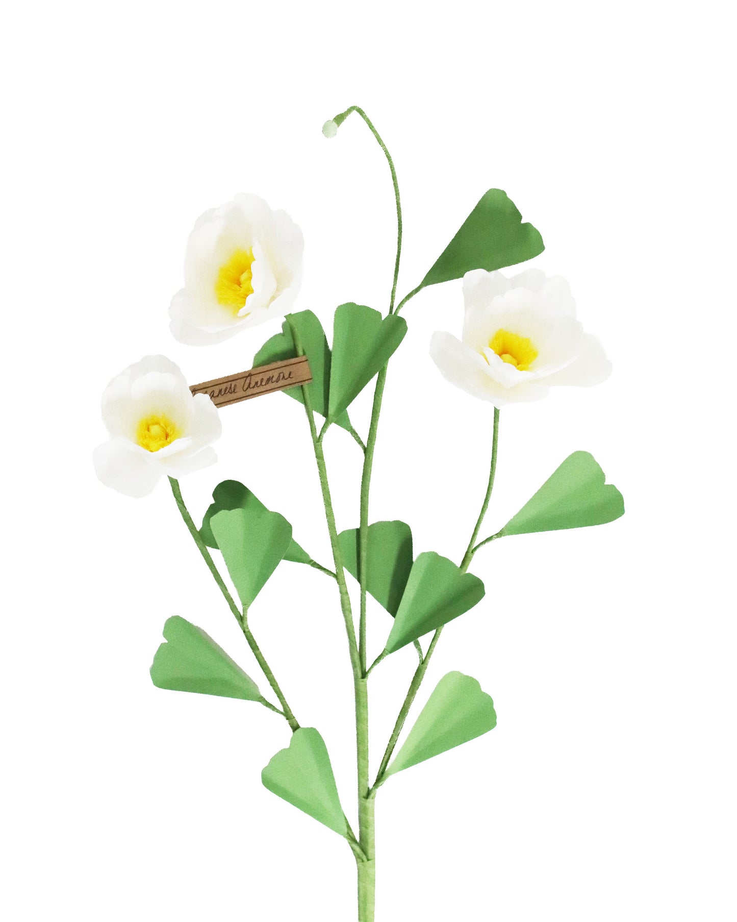 ペーパーフラワー Japanese Anemone Triple