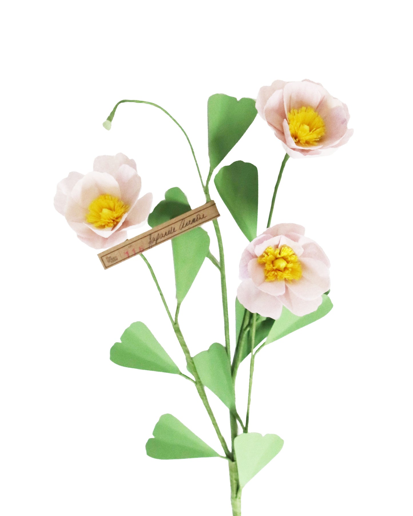 ペーパーフラワー Japanese Anemone Triple