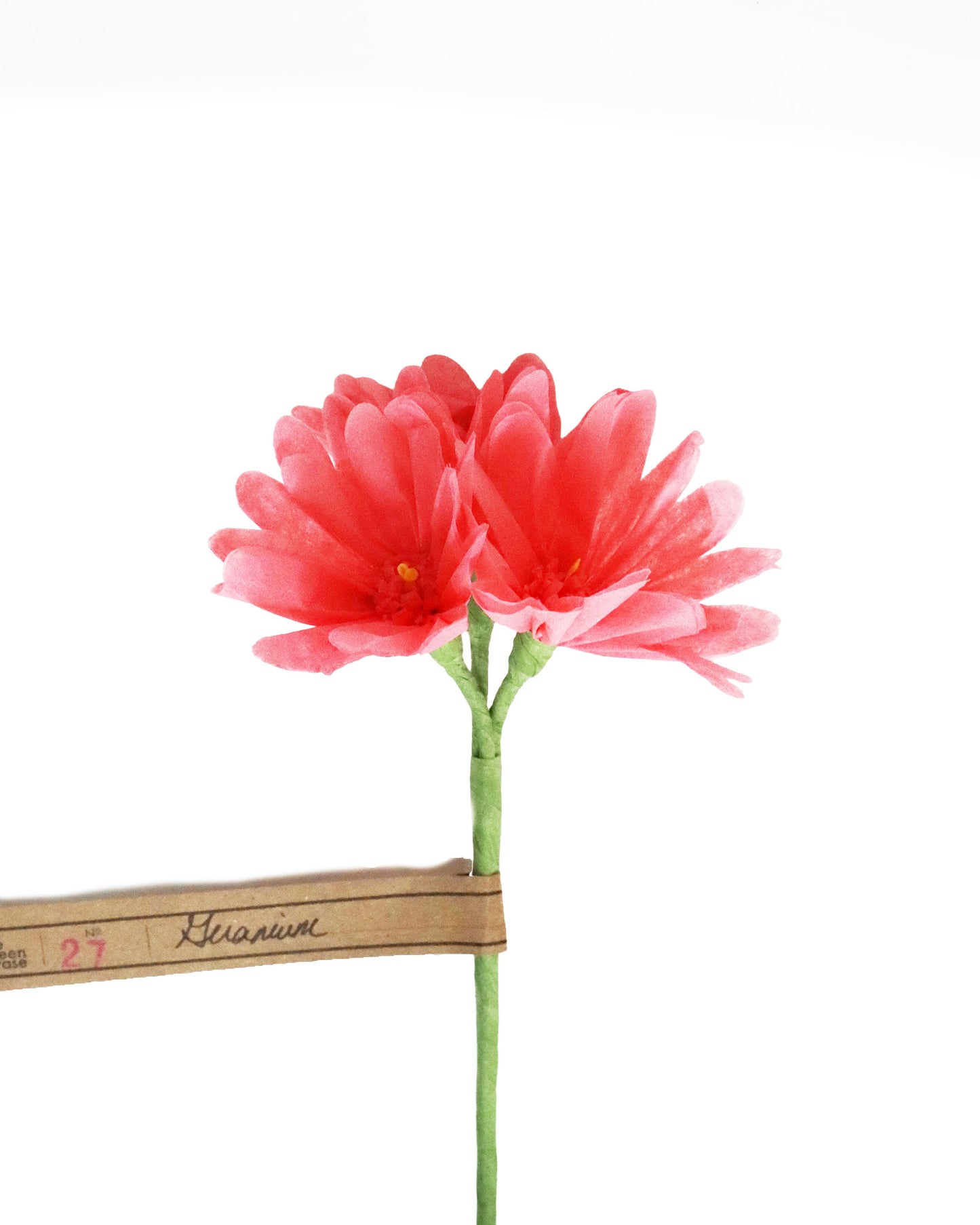 ペーパーフラワー Geramium