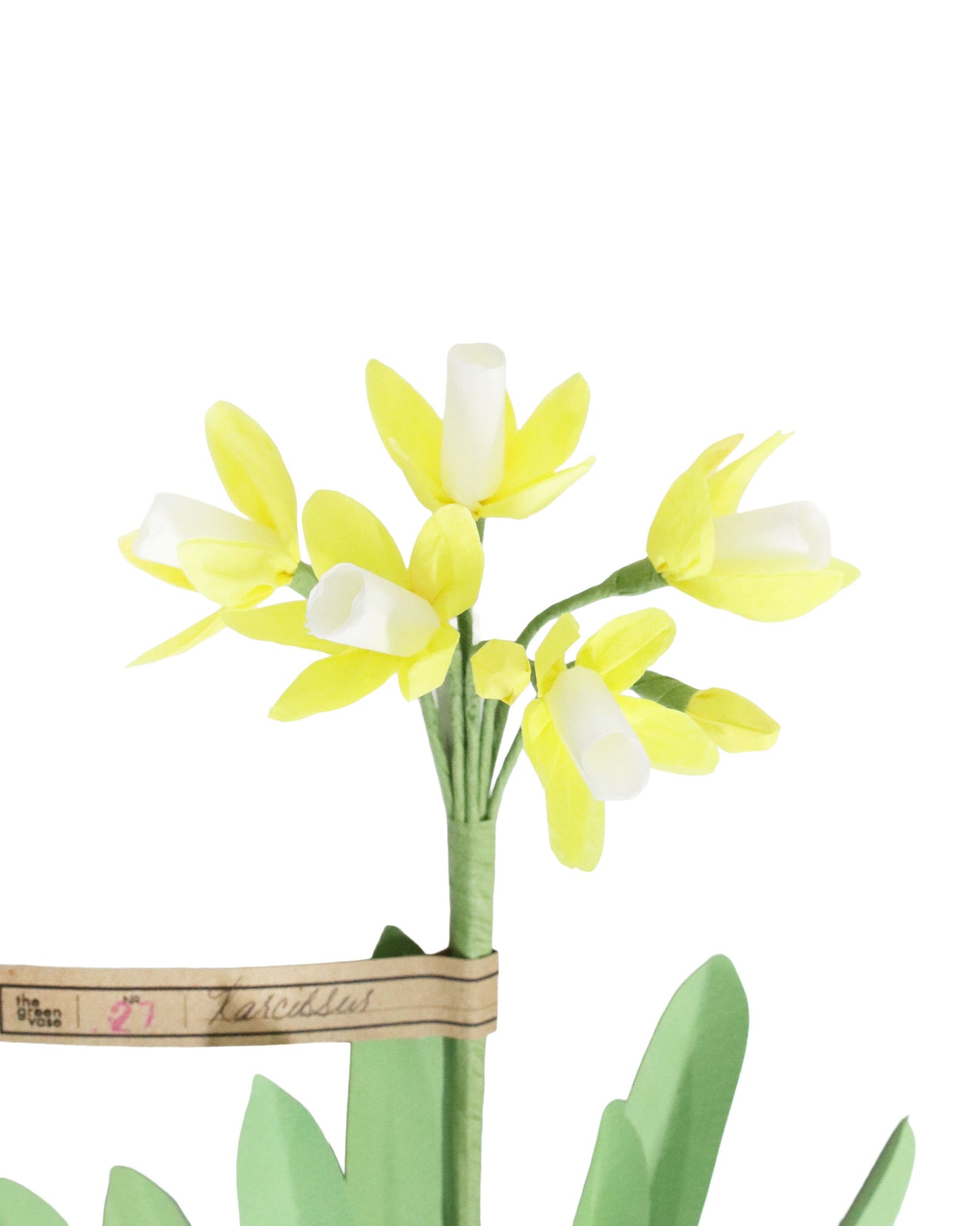 ペーパーフラワー Narcissus