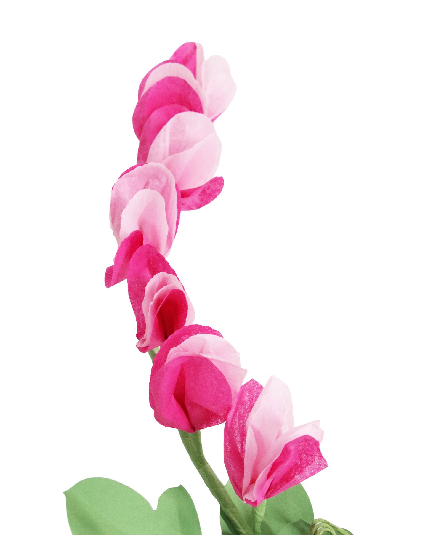 ペーパーフラワー Sweet Pea