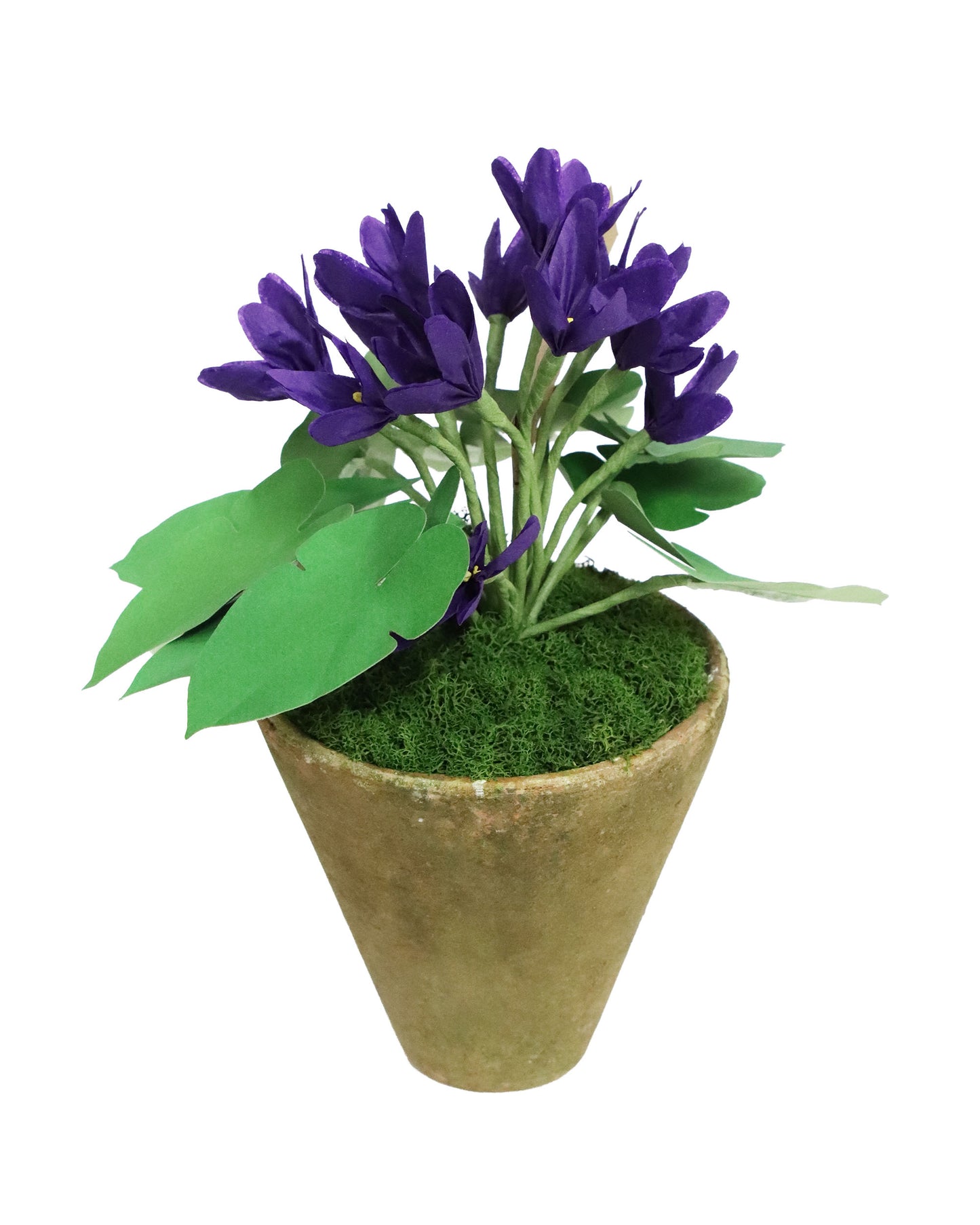 ペーパーフラワープラント Violet