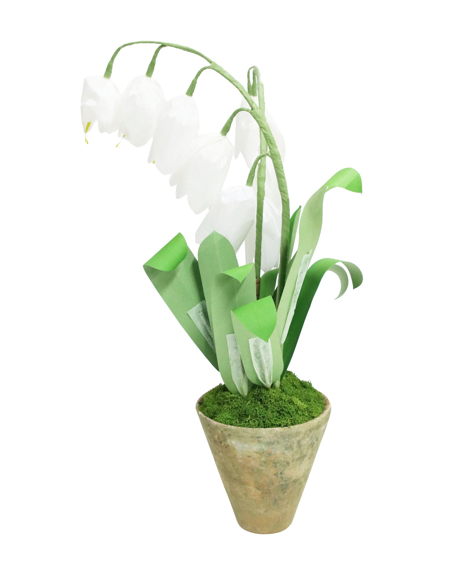 ペーパーフラワープラント Lily of the Valley