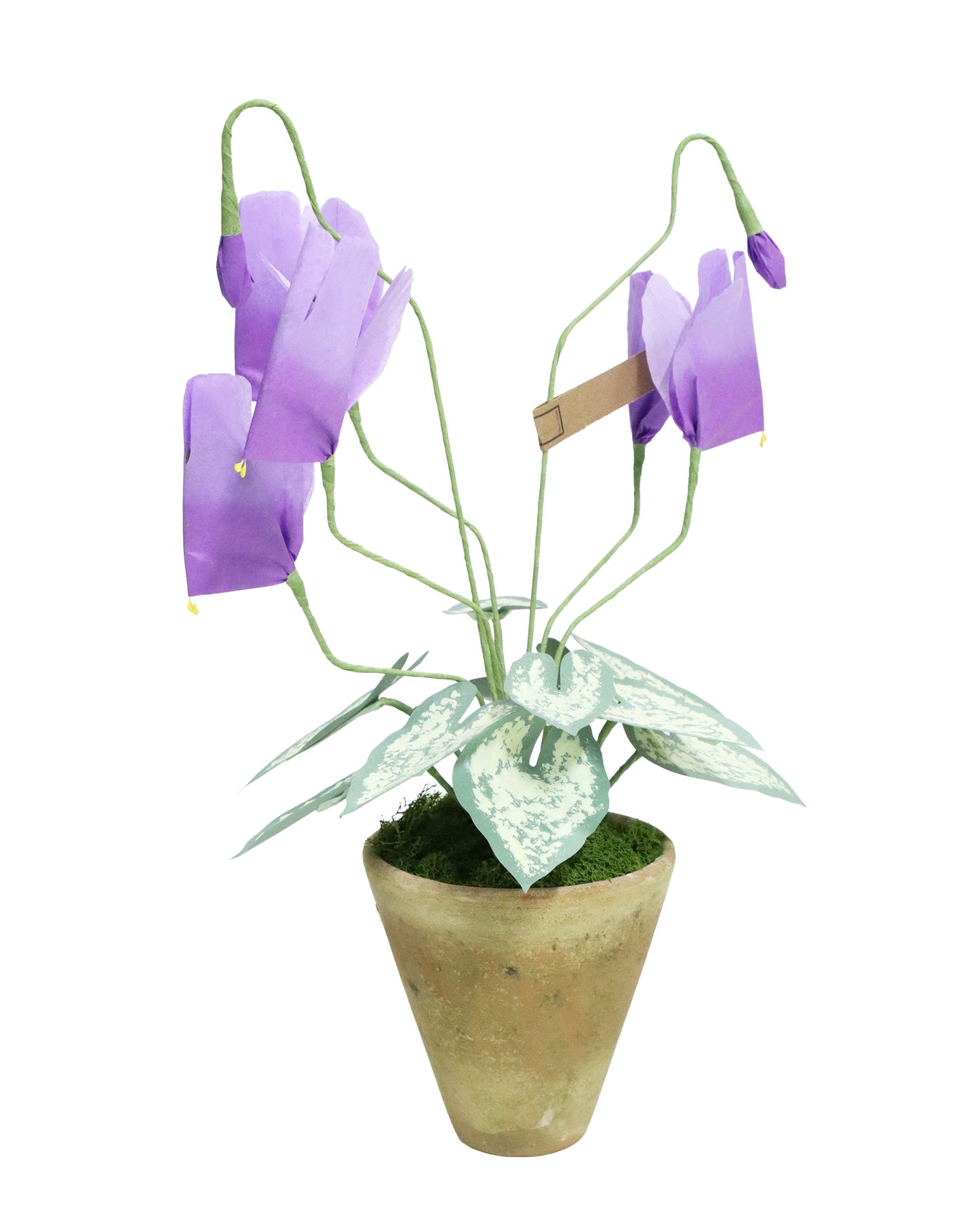 ペーパーフラワープラント Cyclamen