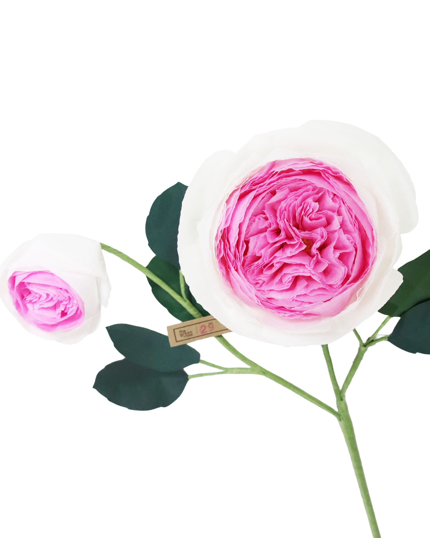ペーパーフラワー Chevalier Rose