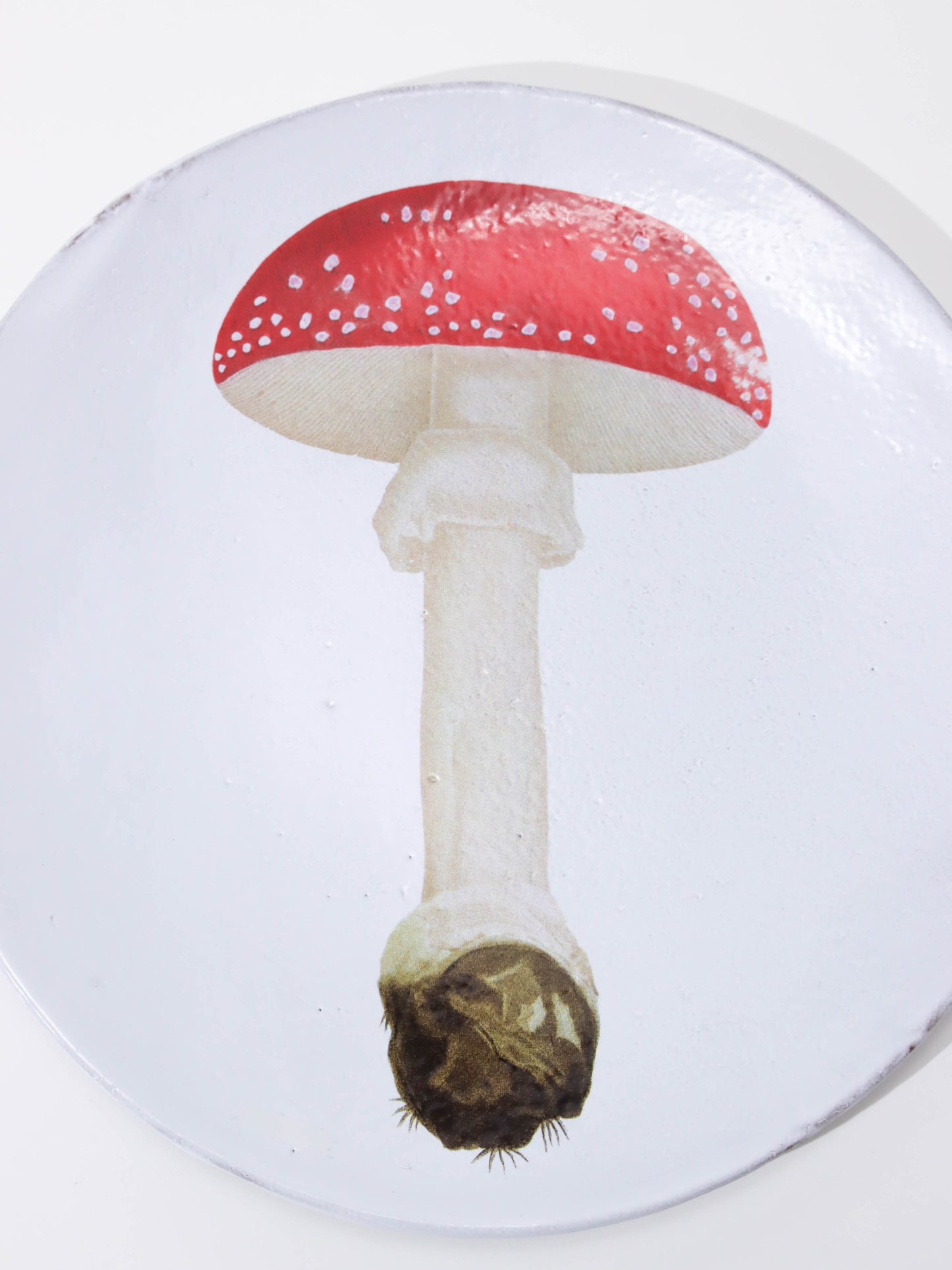 Agaric Fausse Oronge Umbrella ディナープレート