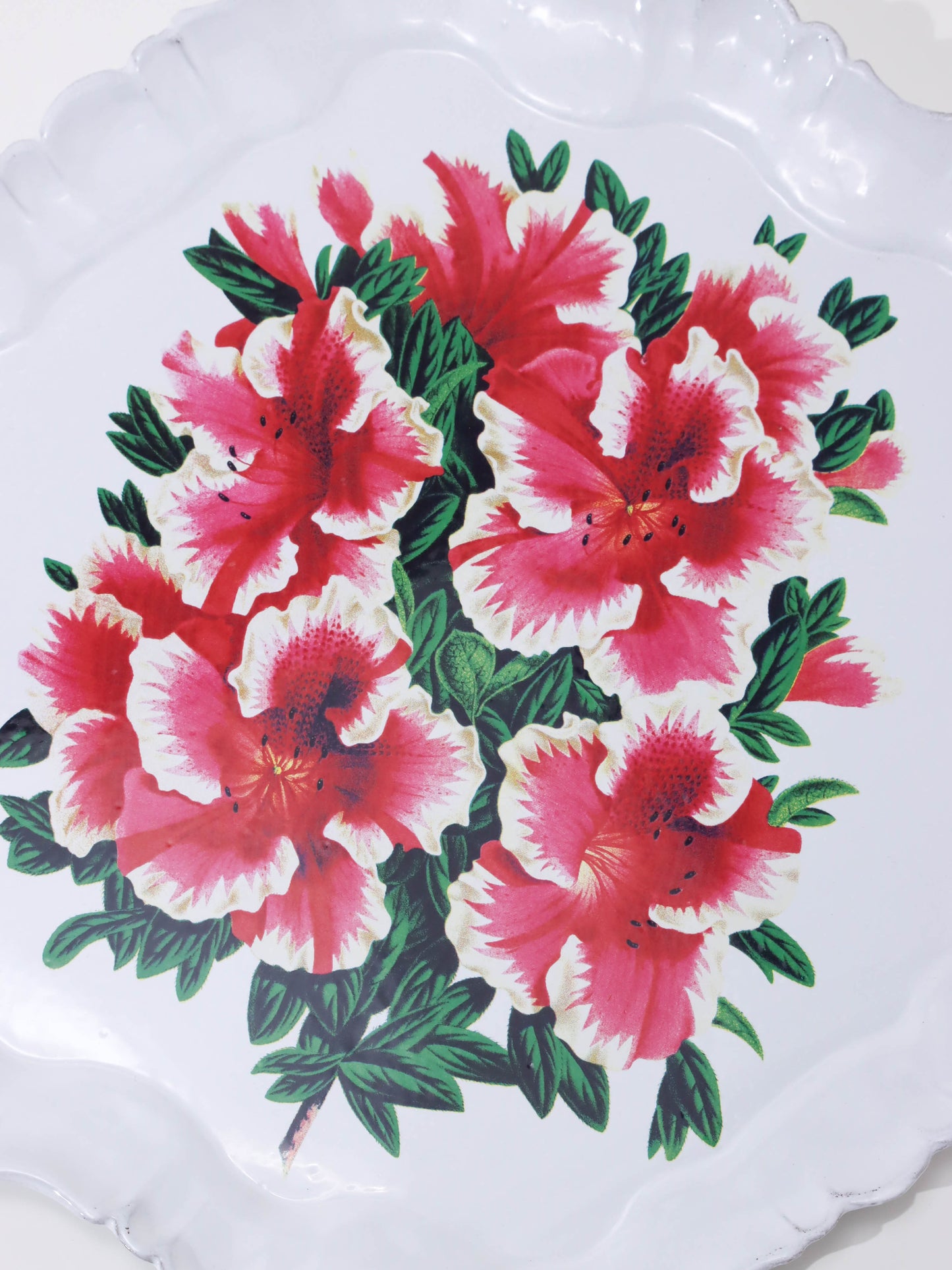 John Derian Azalea Indica 158 プラッター