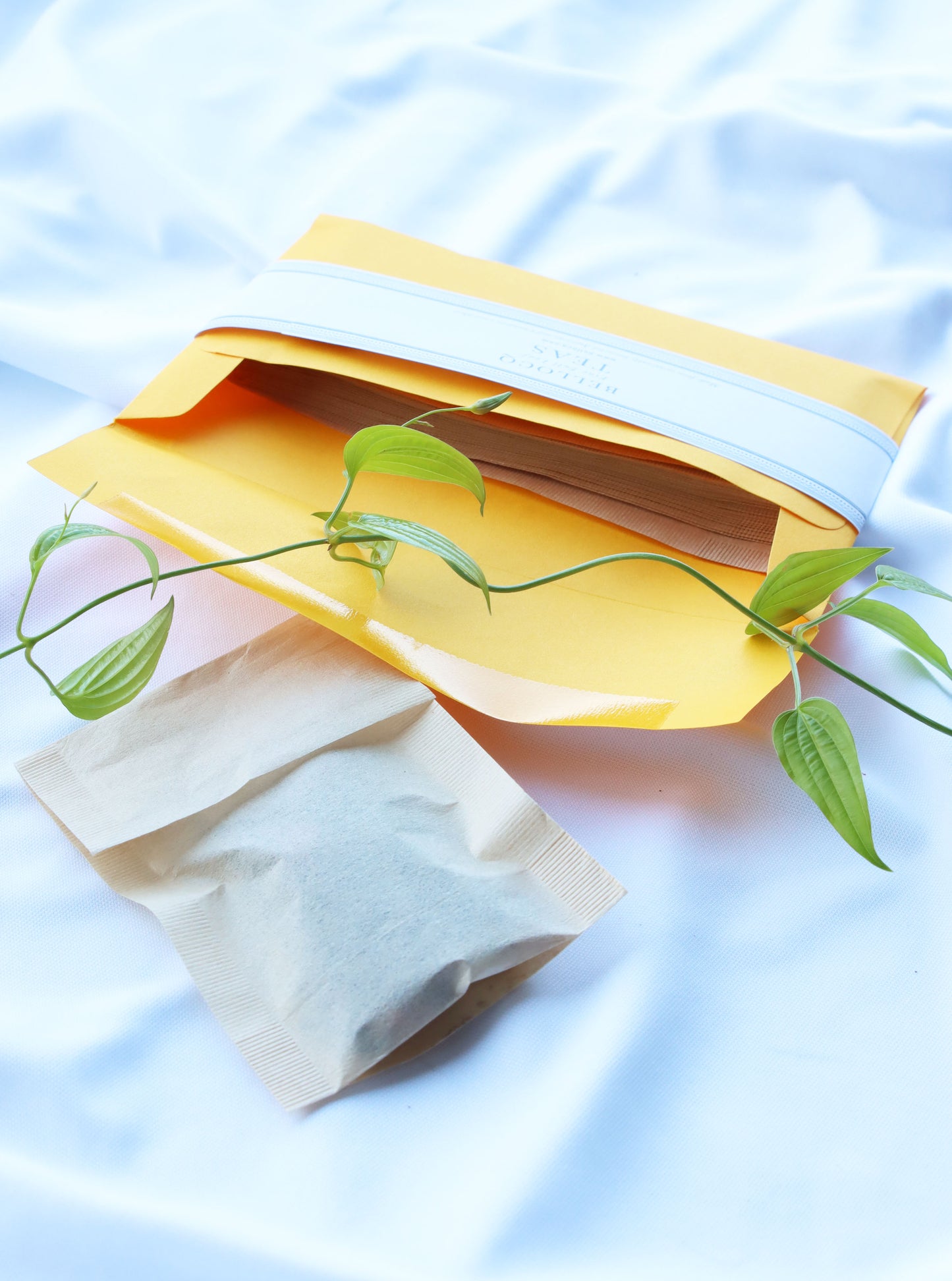 ペーパーフィルター Biodegradable