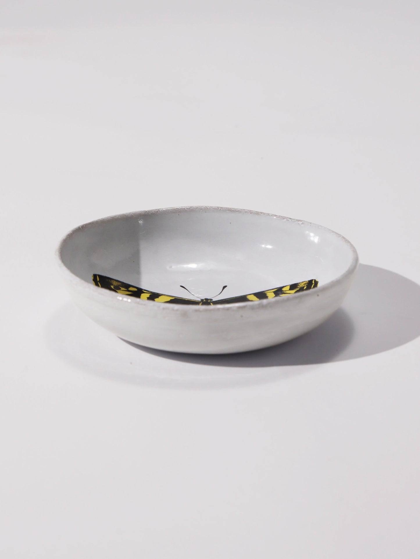 John Derian Yellow Butterfly スモールディッシュ 11cm