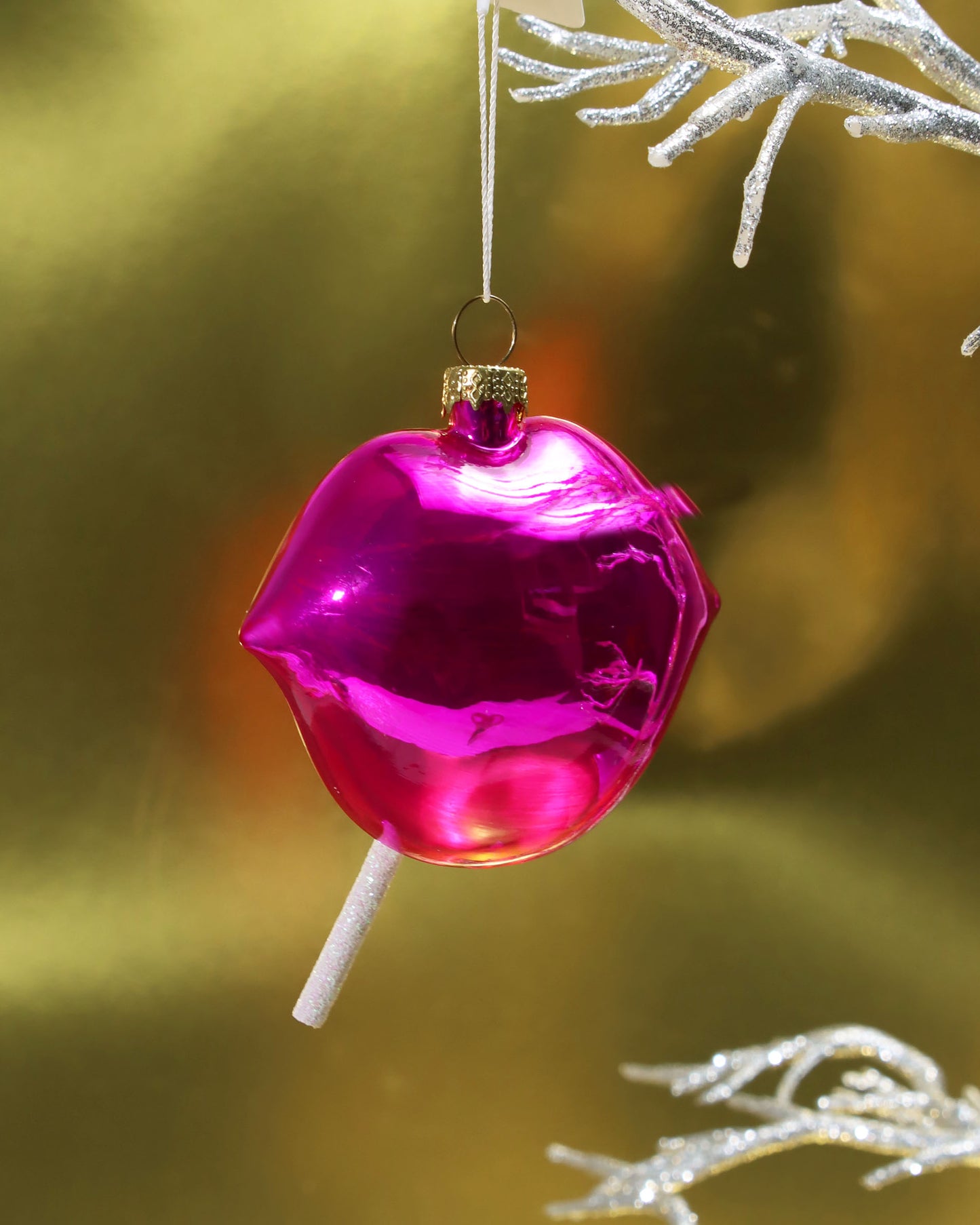 オーナメント LIPS WITH SUCKER