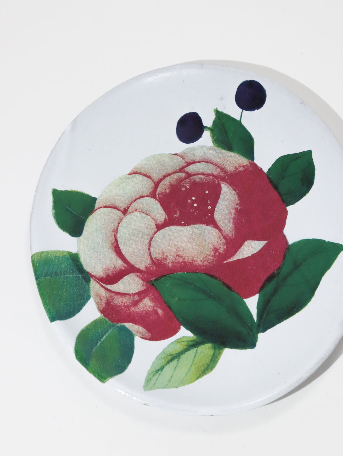 18th c Fan / Voluptuous Rose プレート 17.5cm