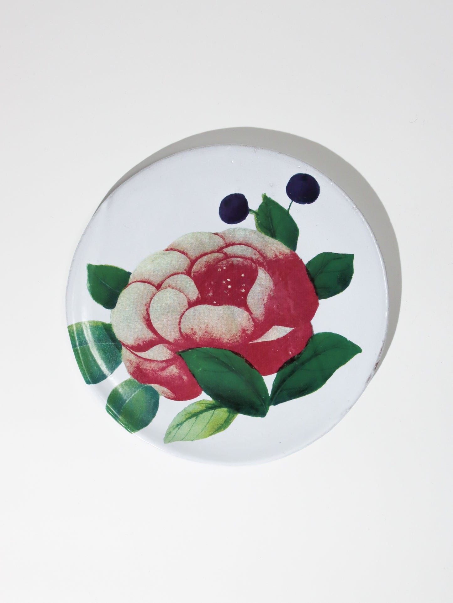 18th c Fan / Voluptuous Rose プレート 17.5cm