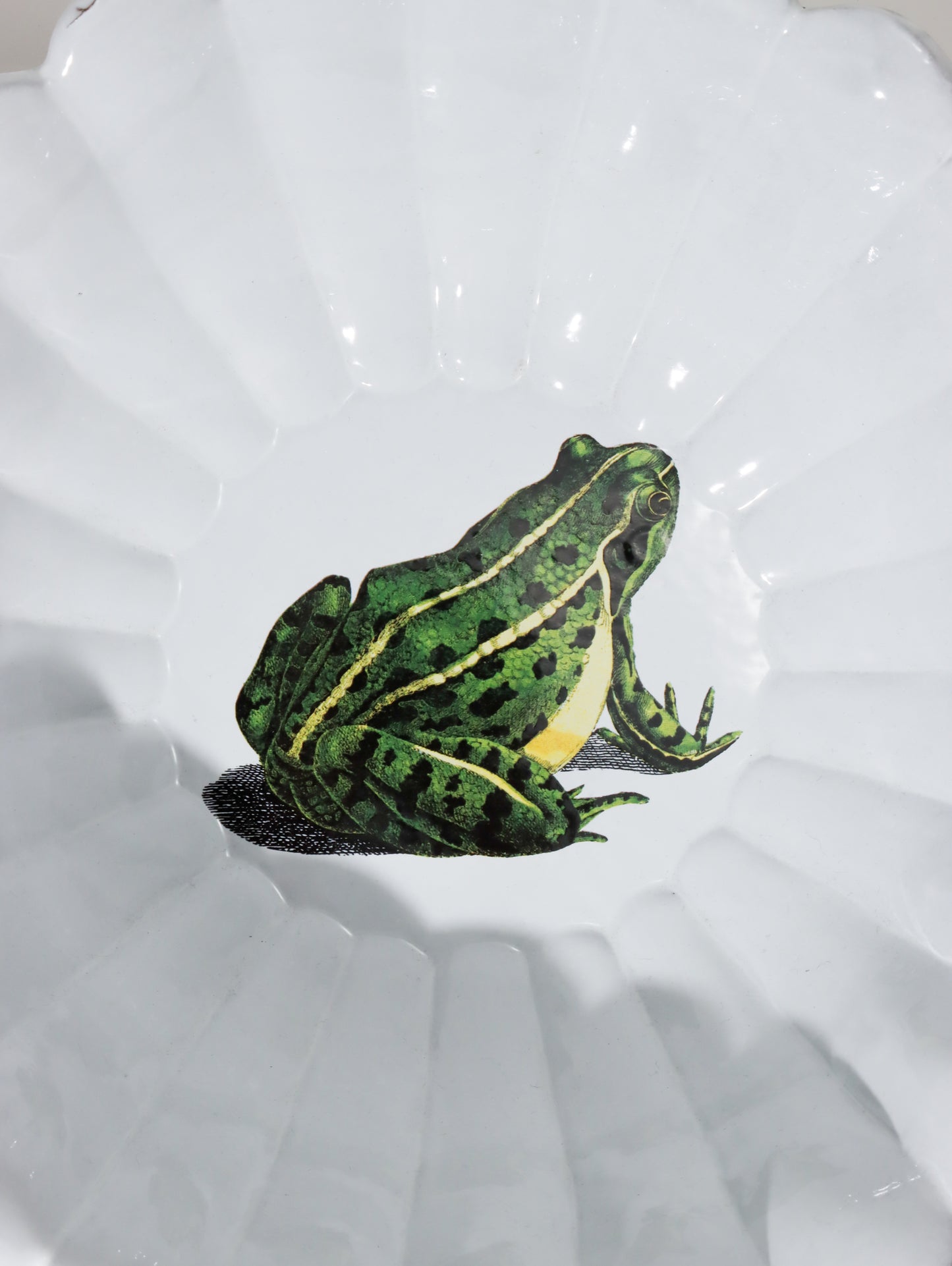Sitting Frog ラージサラダボウル 32cm