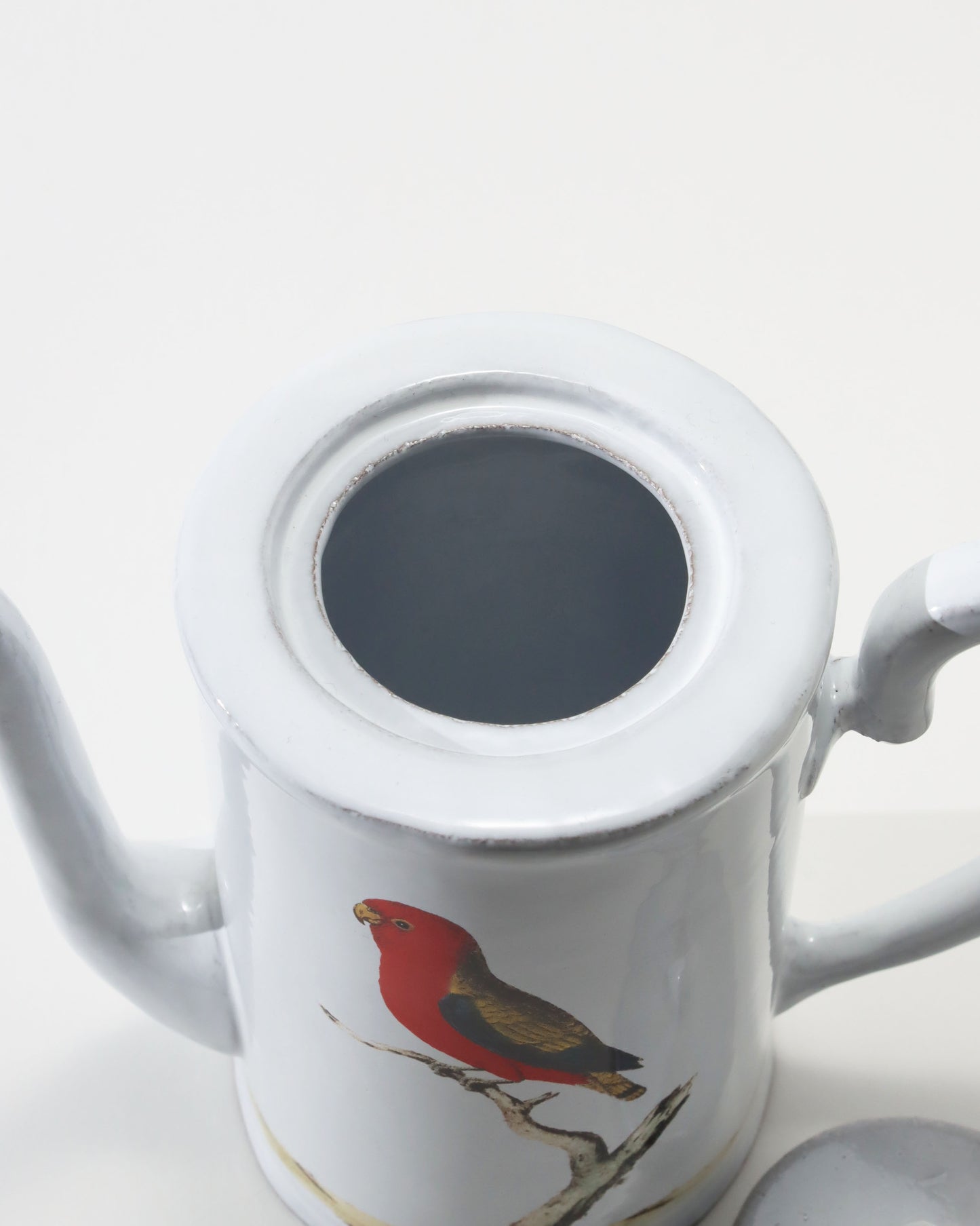 John Derian Parrot ティーポット