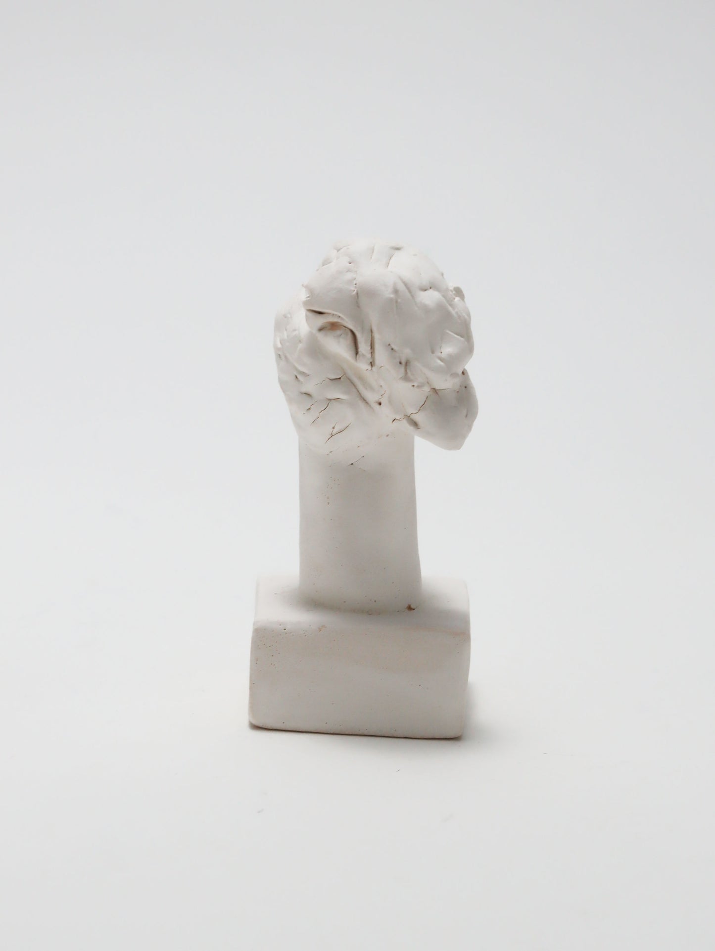 オブジェ Buste Socle Brun Blanc 13