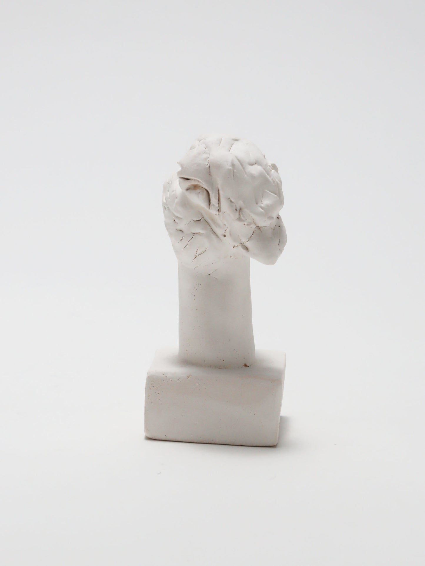 オブジェ Buste Socle Brun Blanc 13