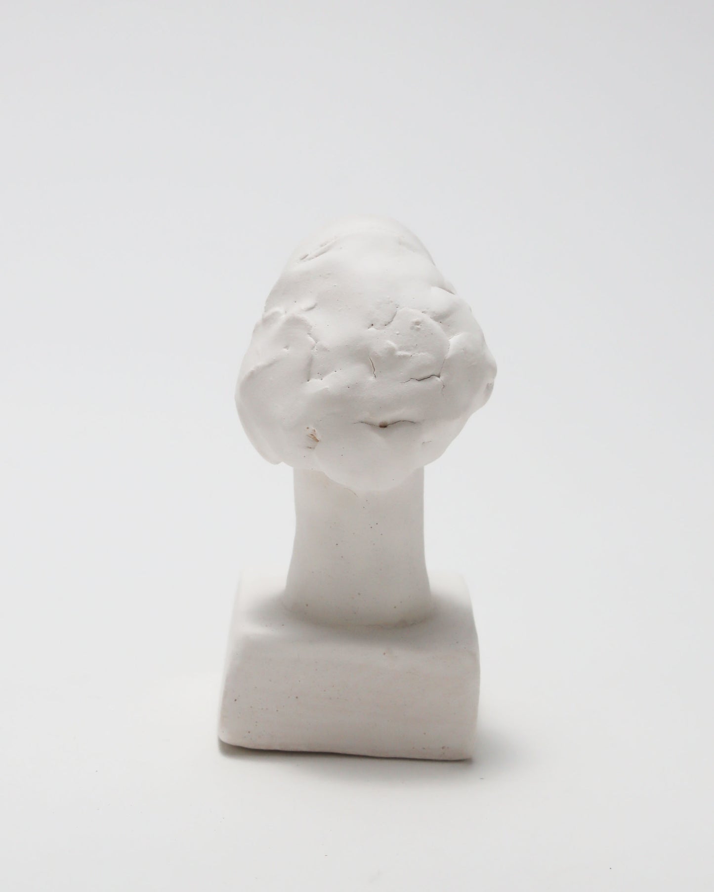 オブジェ Buste Socle Brun Blanc 20