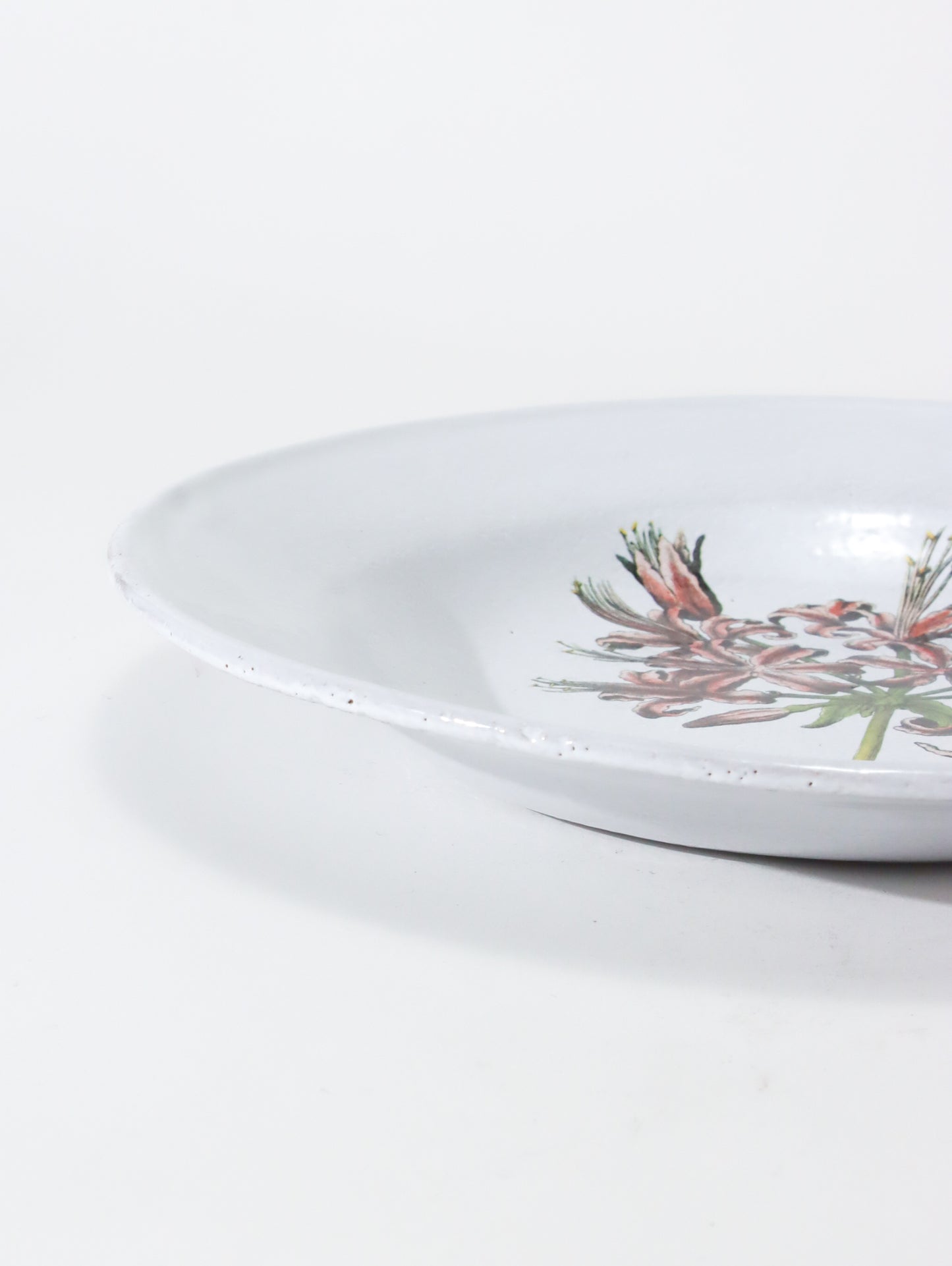 John Guernfey Lilly スーププレート 22cm