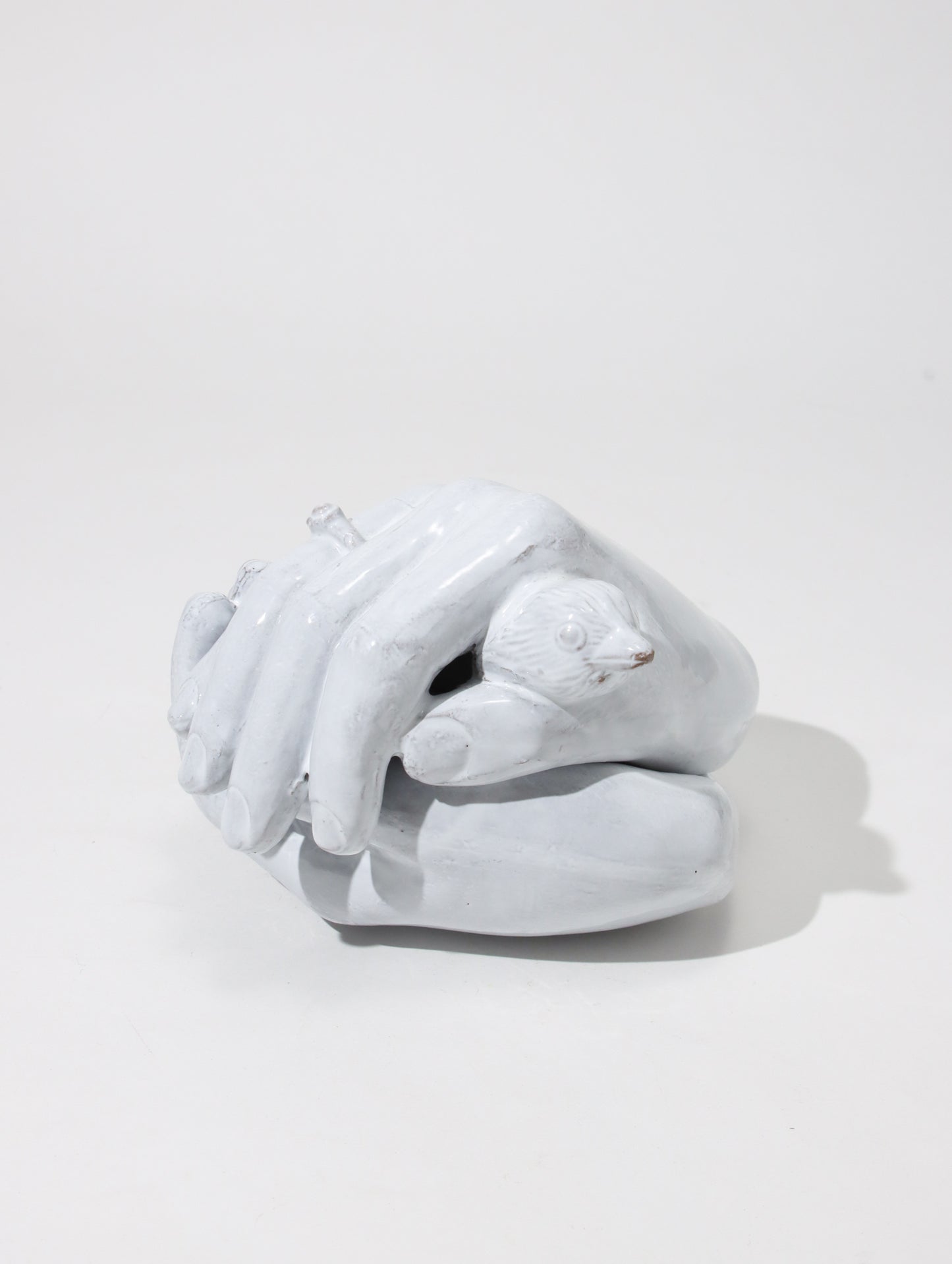 Serena white ring ボックス