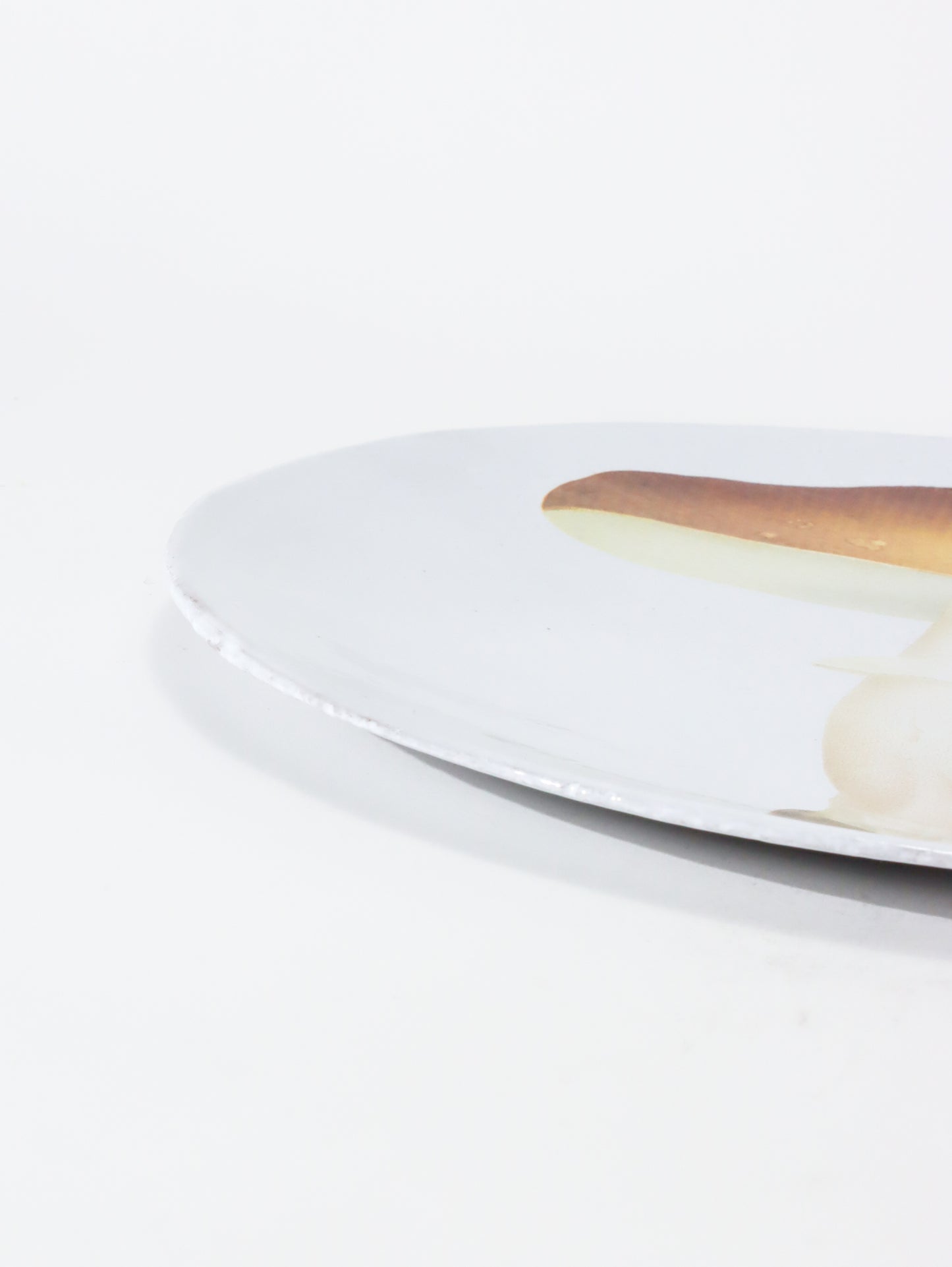 Agaric Blanc Fauve Dinnerp プレート 26.5cm