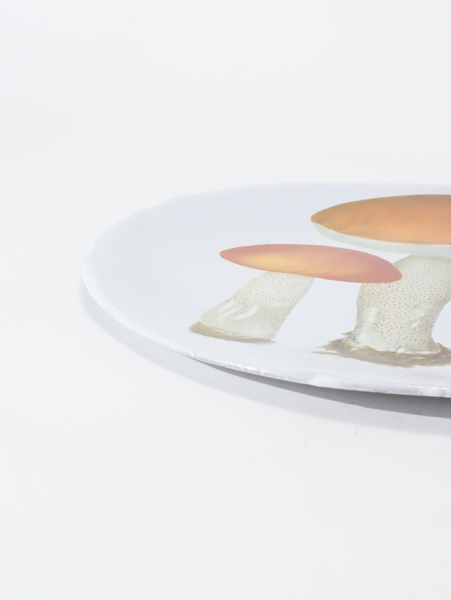 John Derian Bolet Rude & Bolet Oronge ディナープレート26.5cm