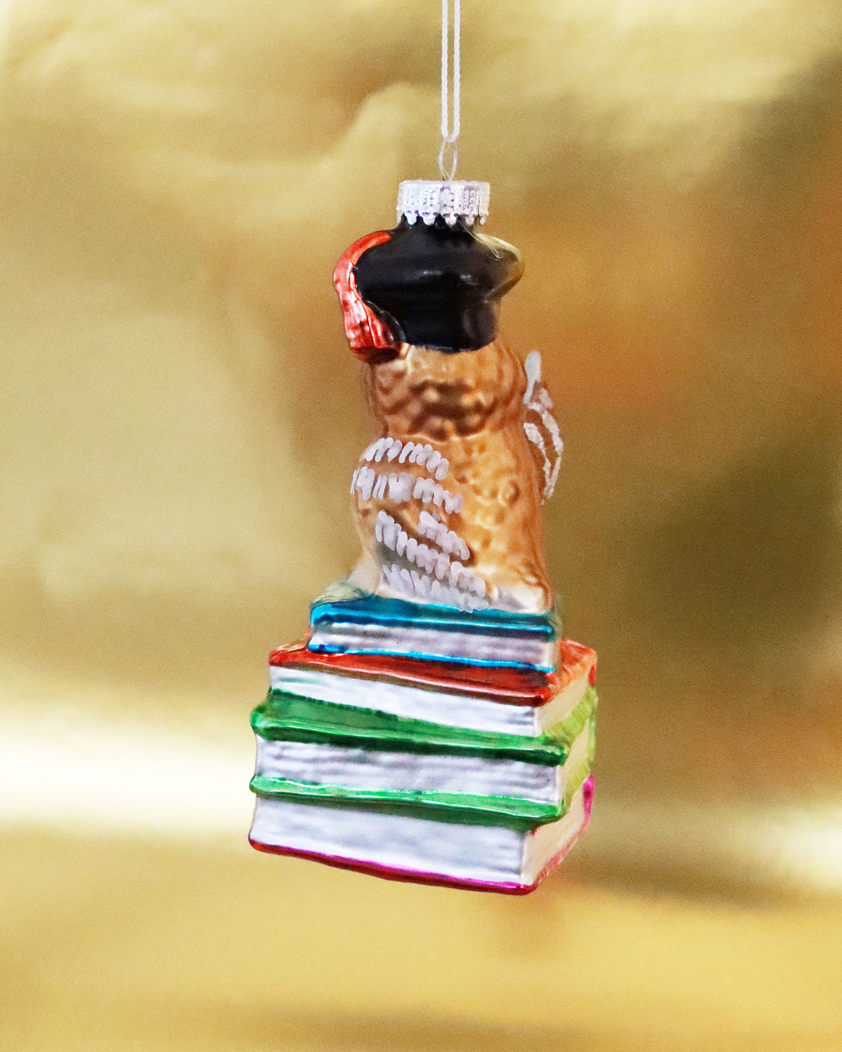 オーナメント Teacher Owl Dr.Steger