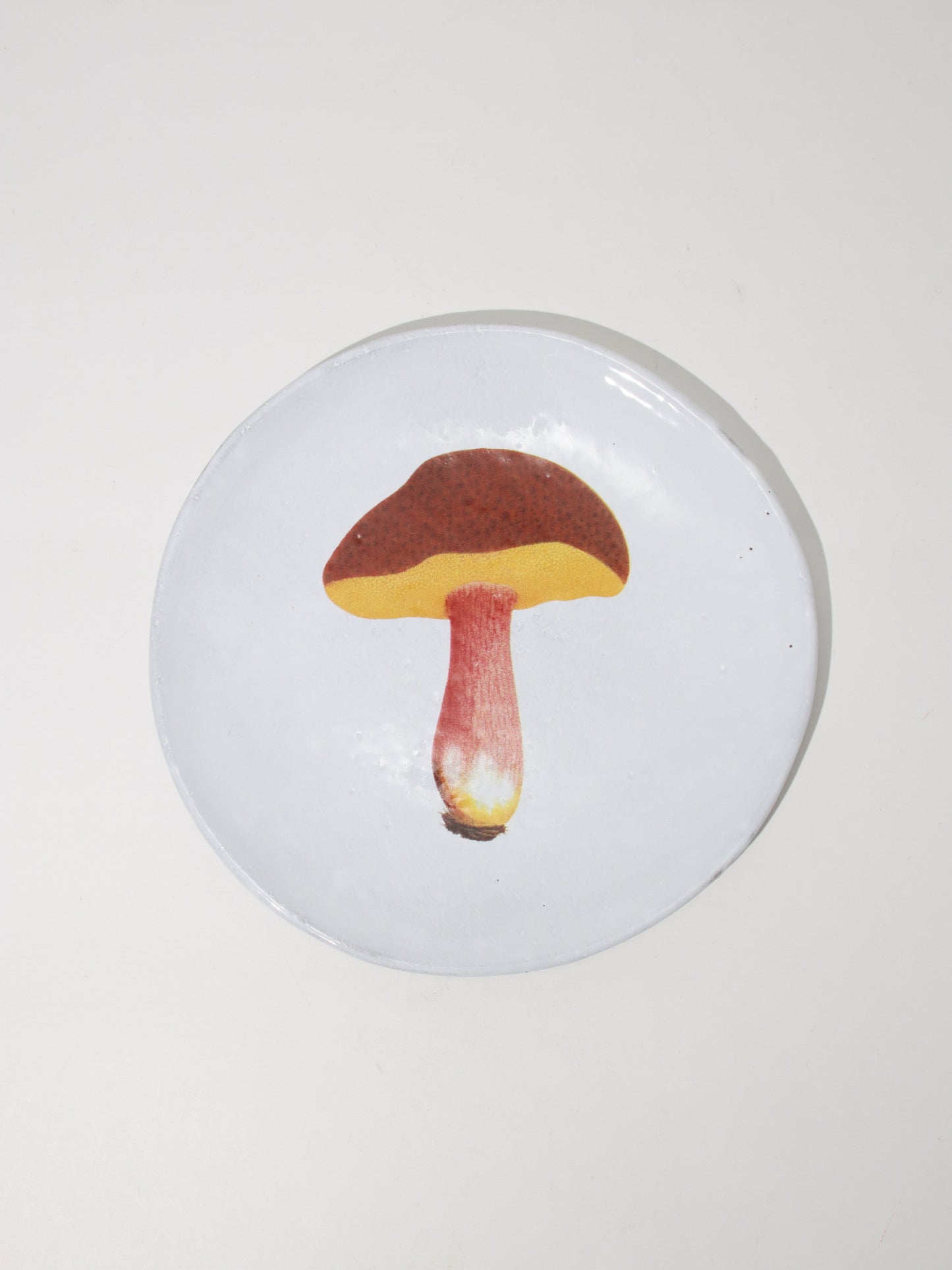 John Derian Bolet Chrysentere ディナープレート19cm