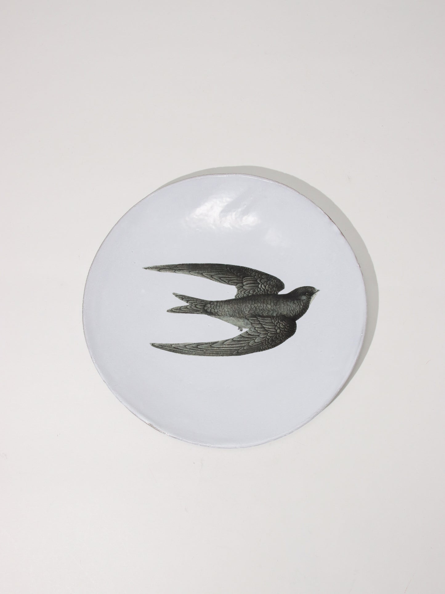 John Derian ツバメのディナープレート 19cm