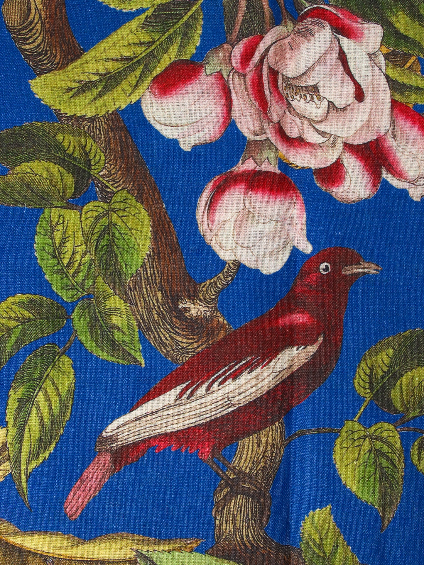 <AVENIDA HOME>テーブルクロス Ruby Birds 150×200