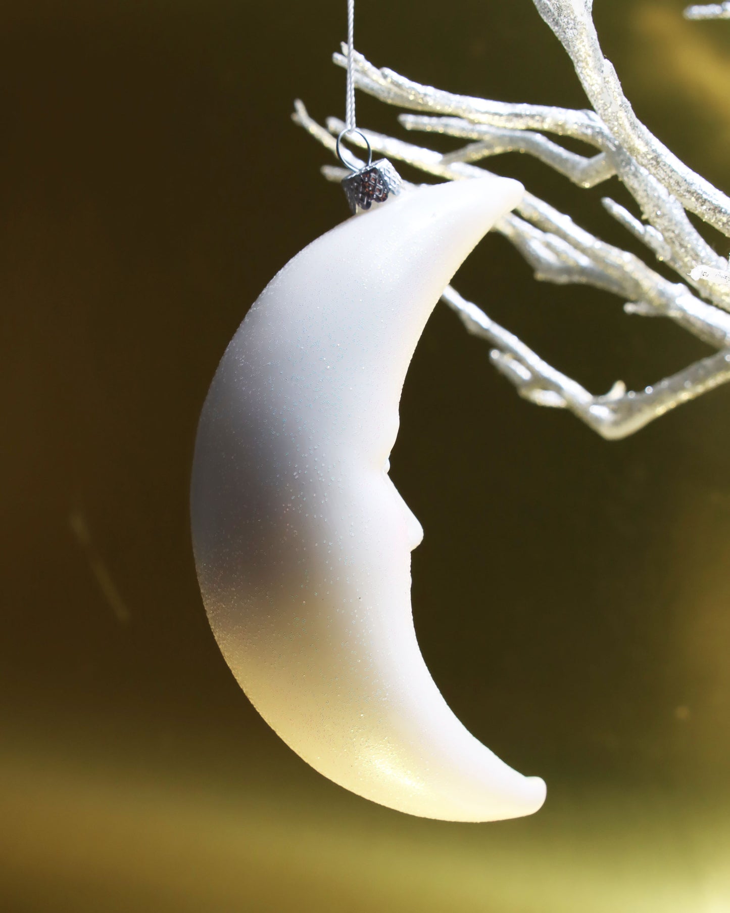 オーナメント WINTER'S MOON