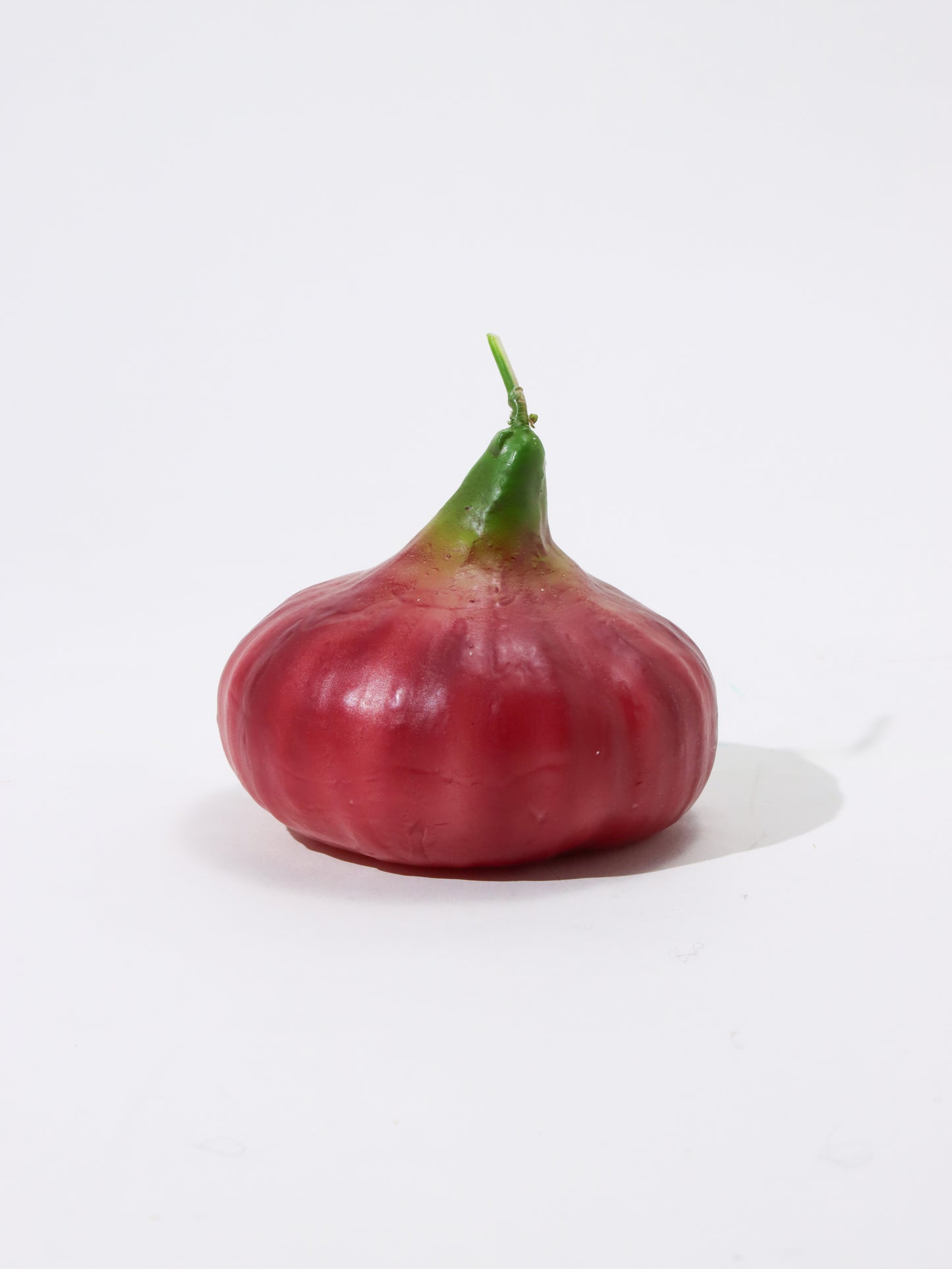 <CERERIA INTRONA>キャンドル Cipolla Rossa