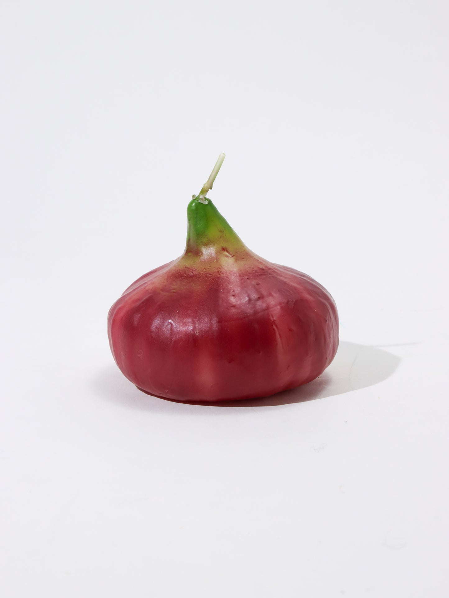 <CERERIA INTRONA>キャンドル Cipolla Rossa