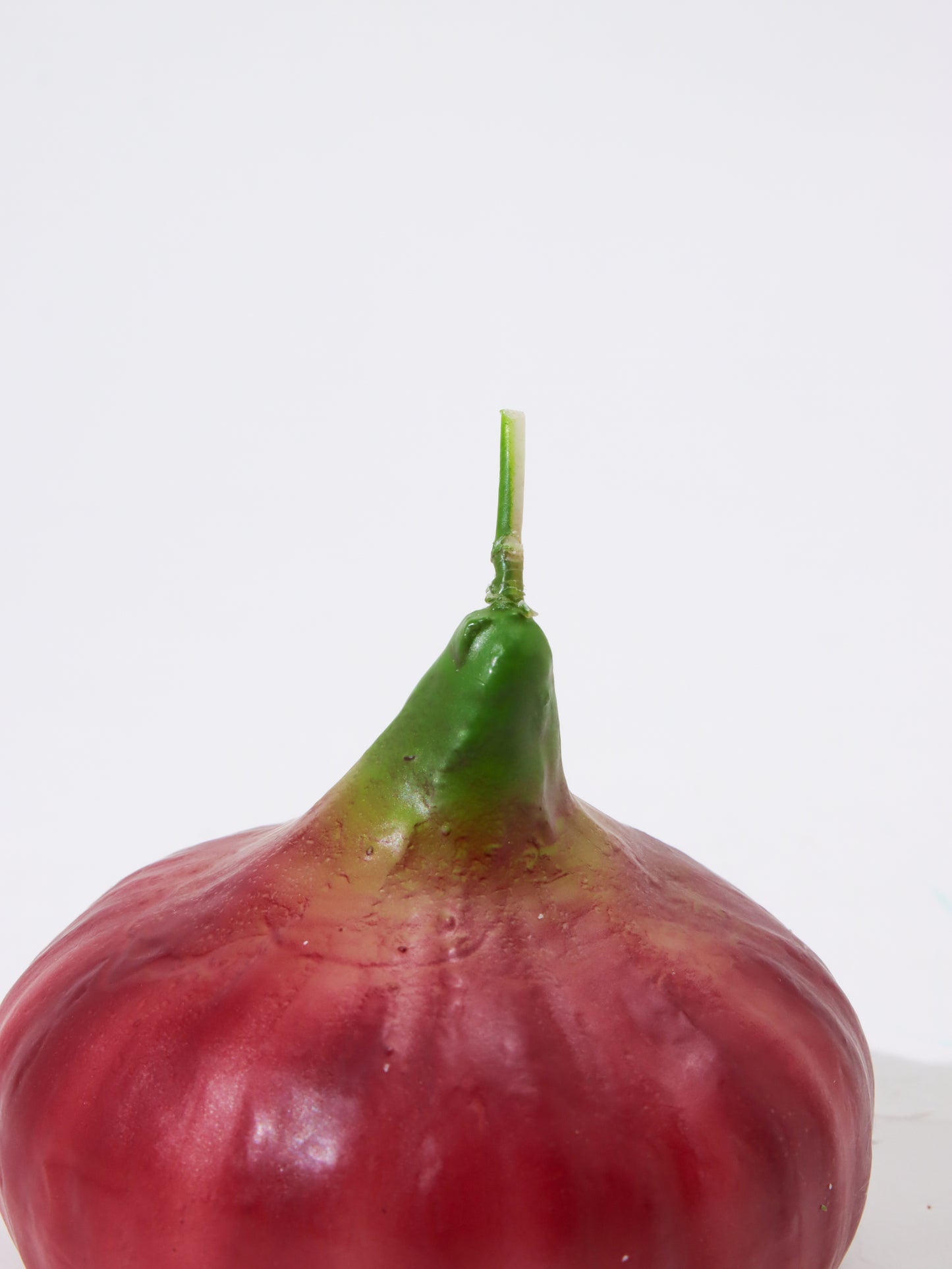 <CERERIA INTRONA>キャンドル Cipolla Rossa