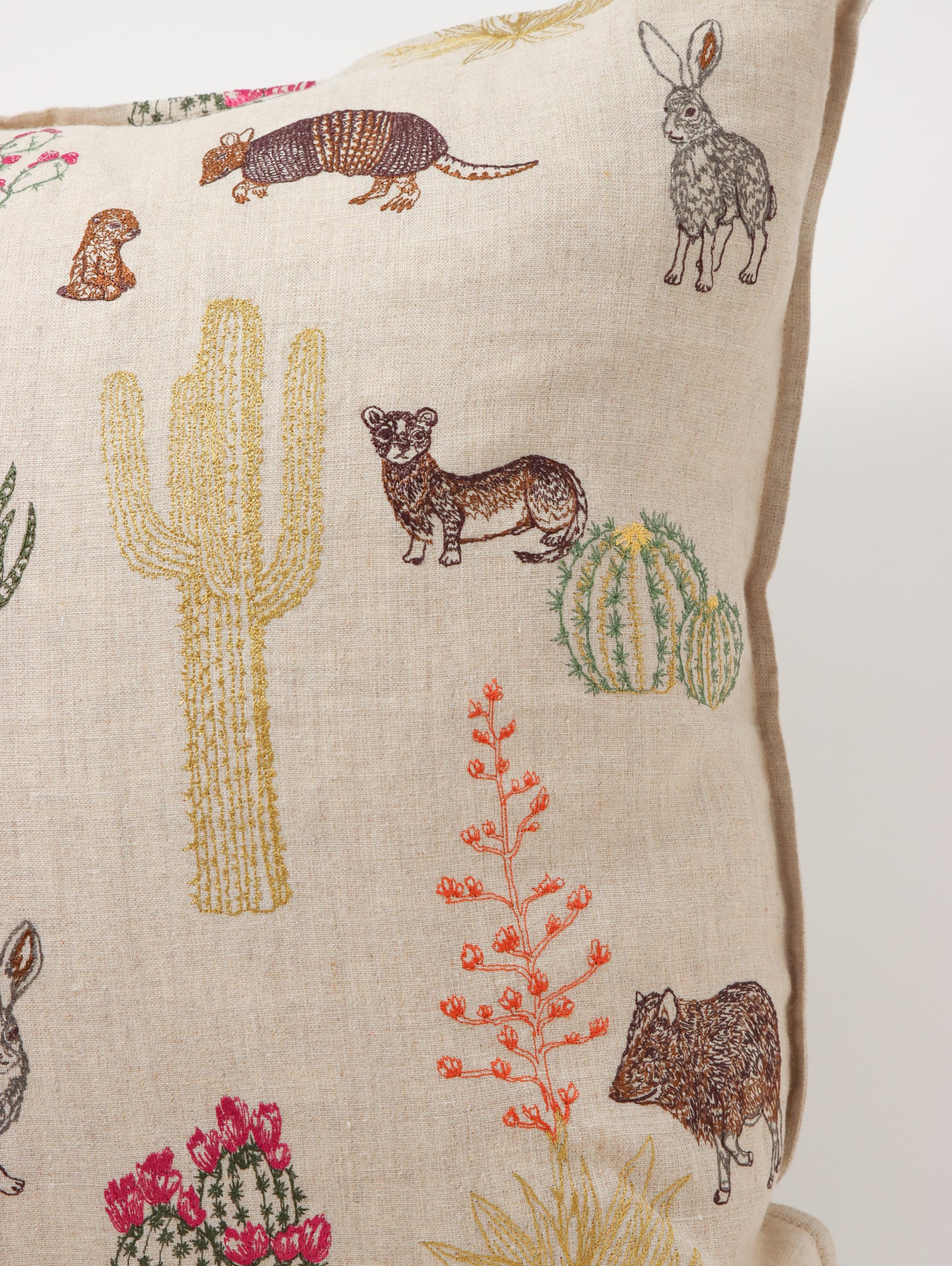 クッションカバー 50x50 Saguaro Desert friend