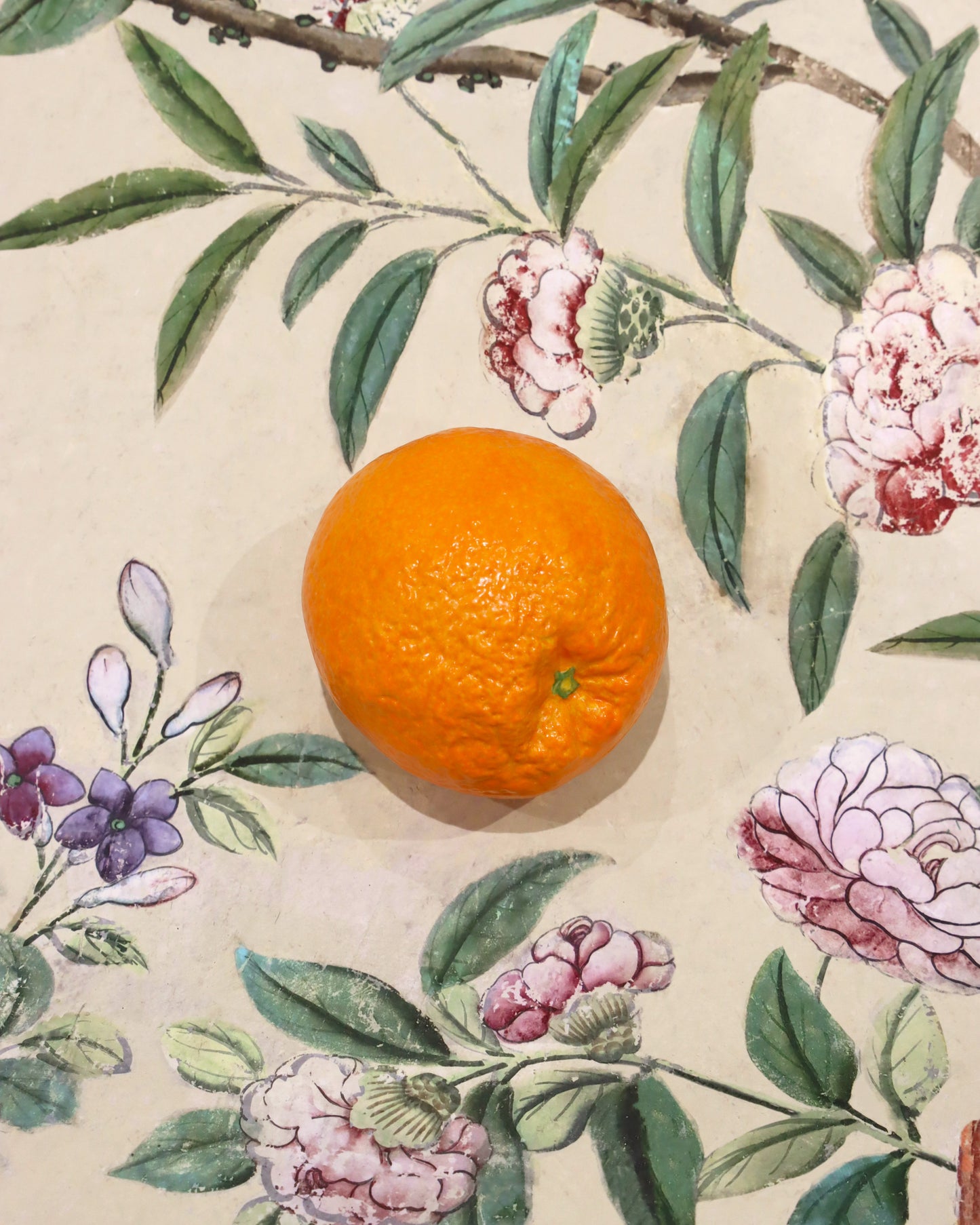 <AUGARTEN> ボックス Orange