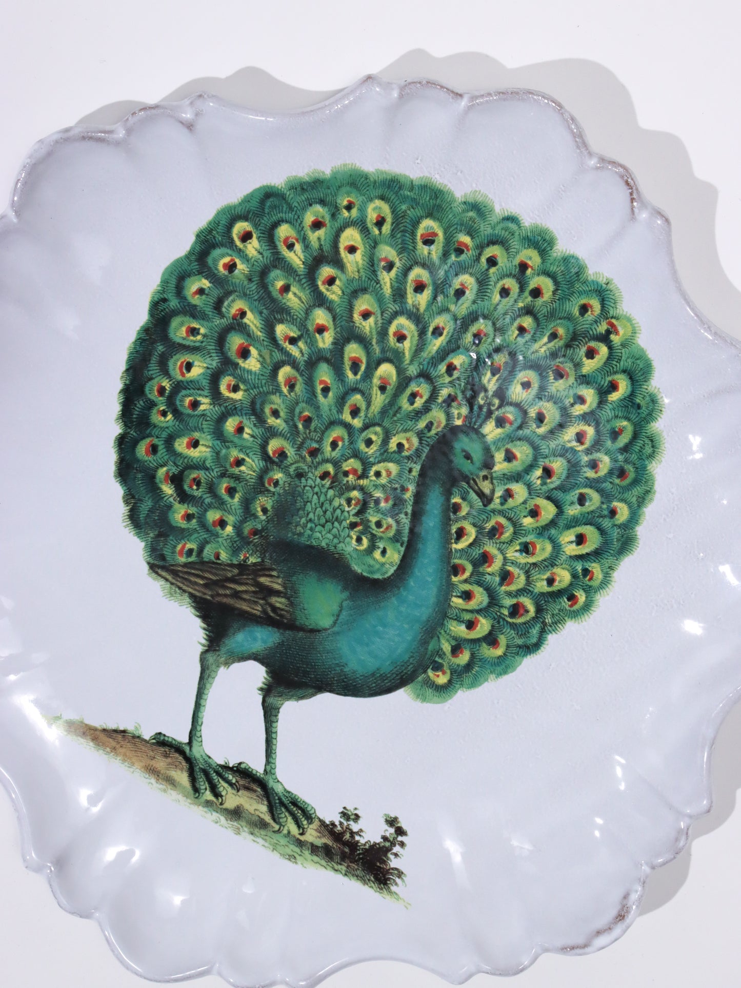 John Derian Peacock ディナープレート